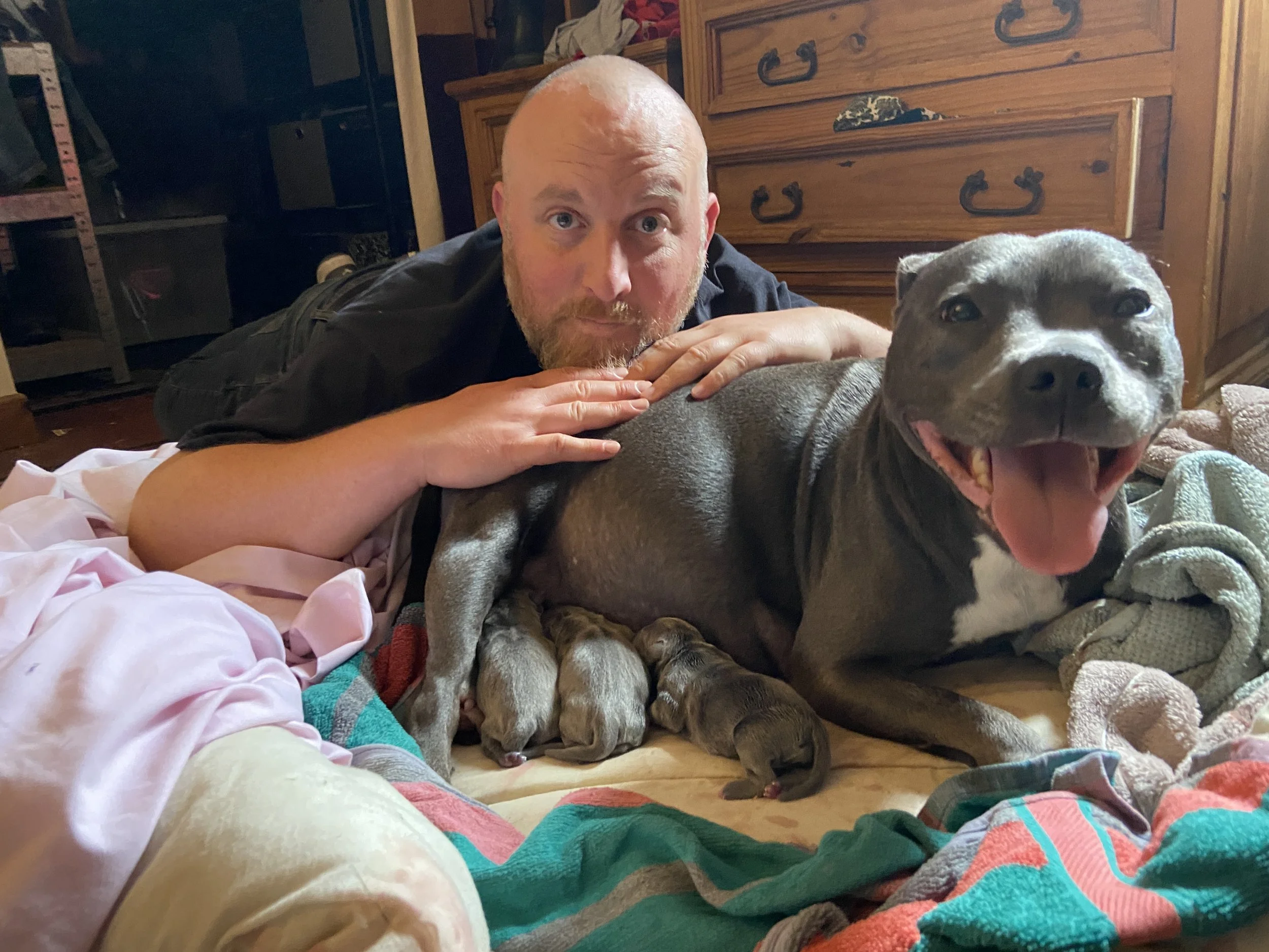 Alwyn birthing staffies