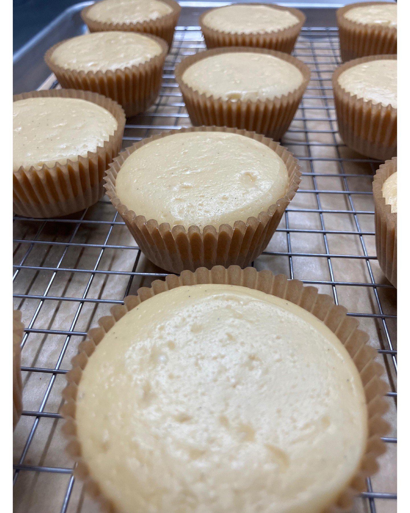Mini cheesecakes ready for memorial day! Come in tomorrow for a delicious treat!