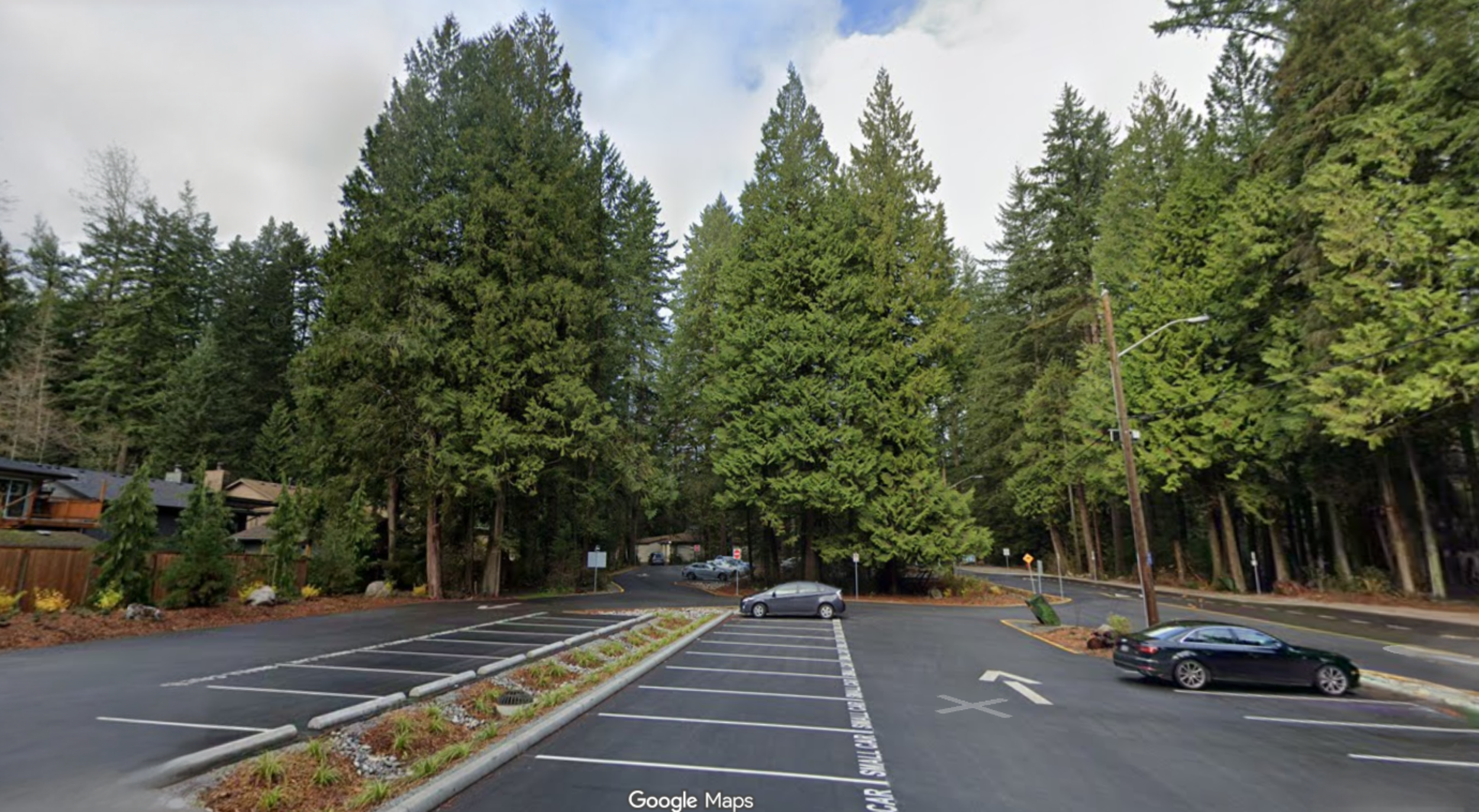 Should we charge for parking in parks?