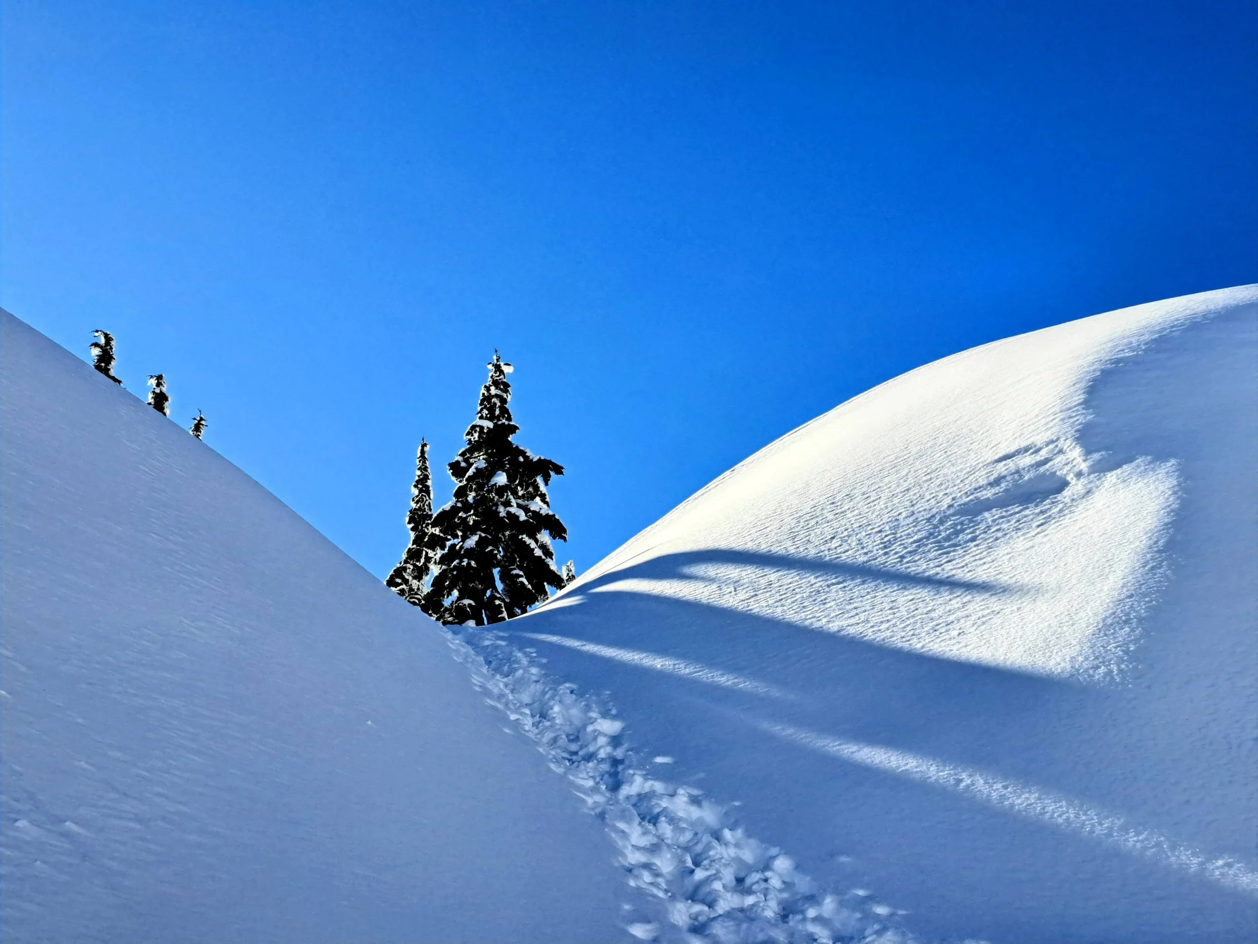 January 2025 on the Shore