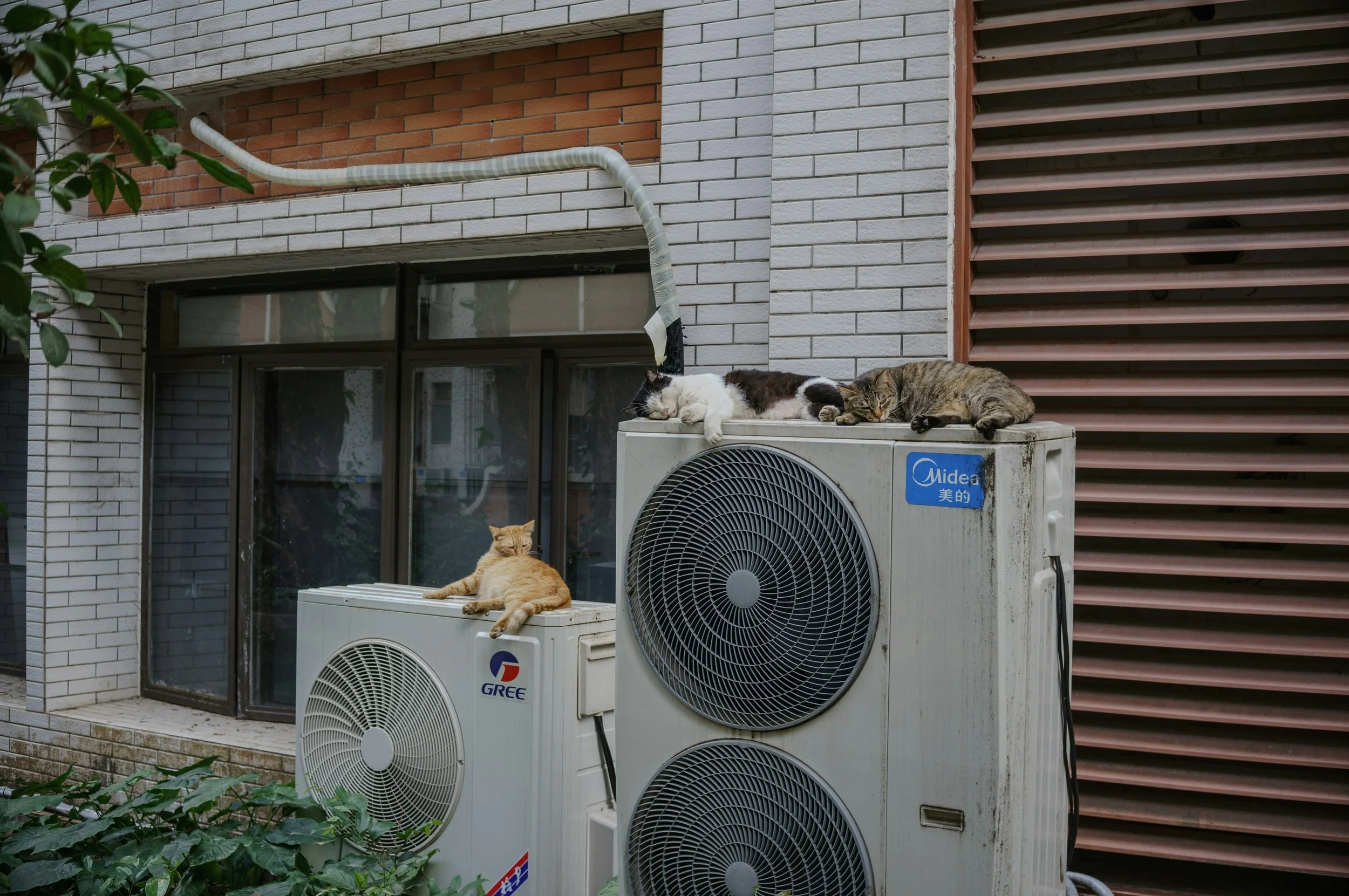 Heat pump: go or no?