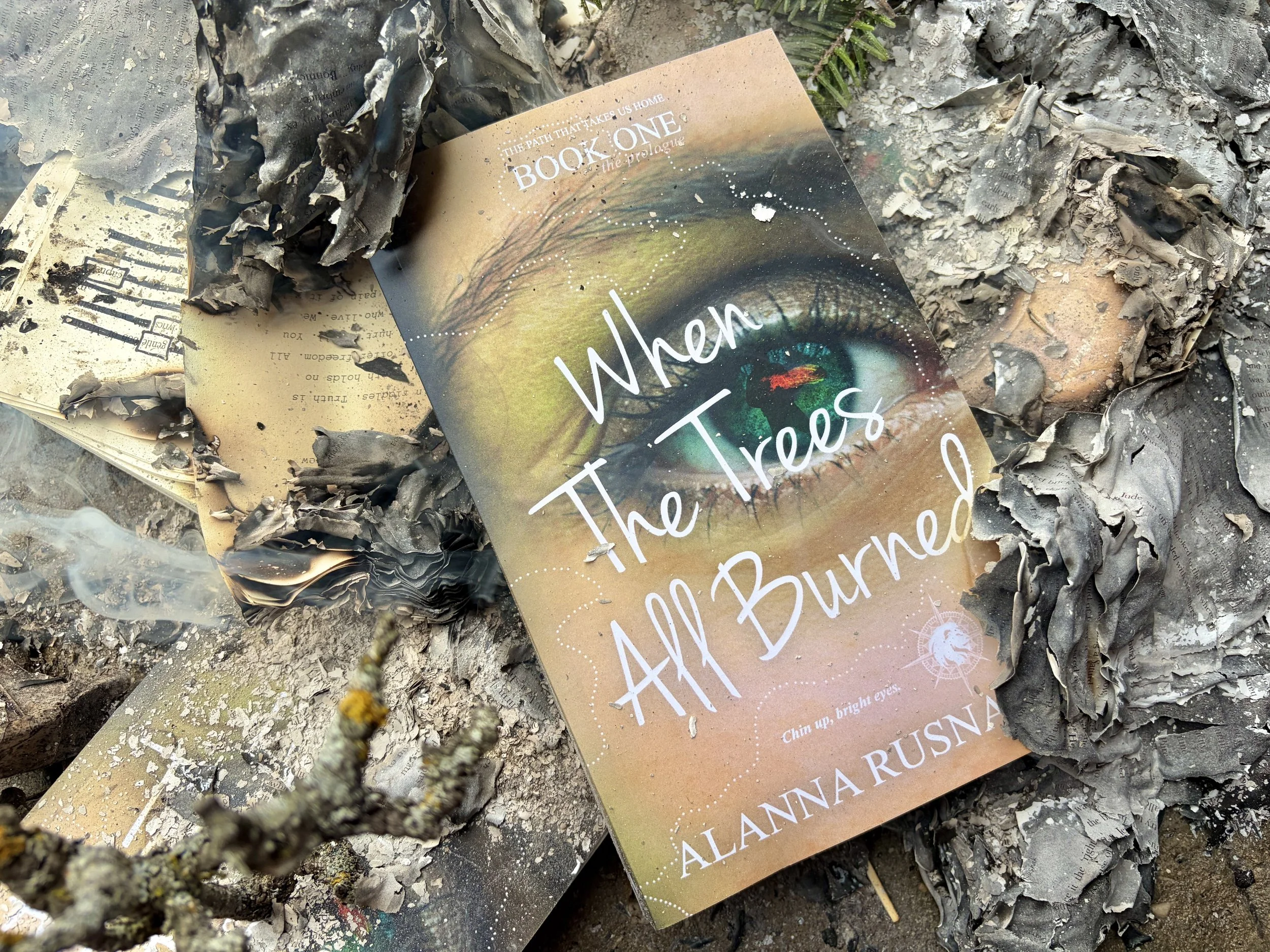 Happy 1st Birthday to When The Trees All Burned 🎂