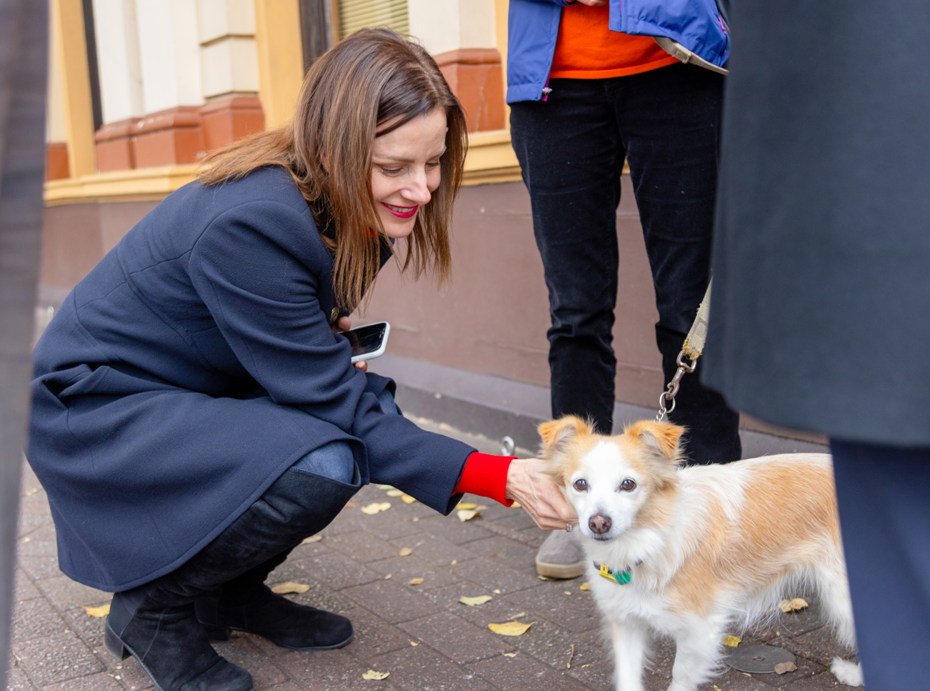 Tabling of Petition to Ban Greyhound Racing