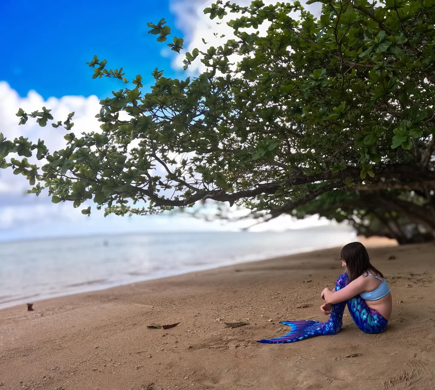 Mermaid adventures come in all ages &amp; inspire the spirit to birth into a new presence of life 🙌🏽

I love this artistic shot of a young mermaid client on the beach. Sweet, isn&rsquo;t it? 🐚 

🧜&zwj;♀️ @mertailor 

#kauaimermaid #kauaimermaidex