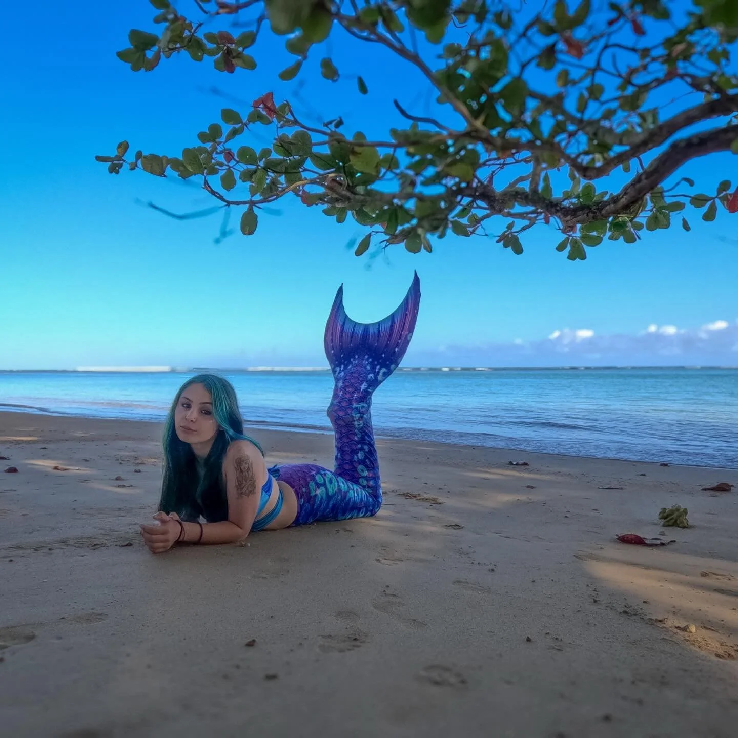 Mermaids don&rsquo;t lose sleep over the opinions of shrimp 🦐 

I saw this quote, got a chuckle about it &amp; thought I would share it. Hope it gives you a laugh too! 😂

Photo of the lovely @angelena.gabrielsen when she took a lesson with me earli