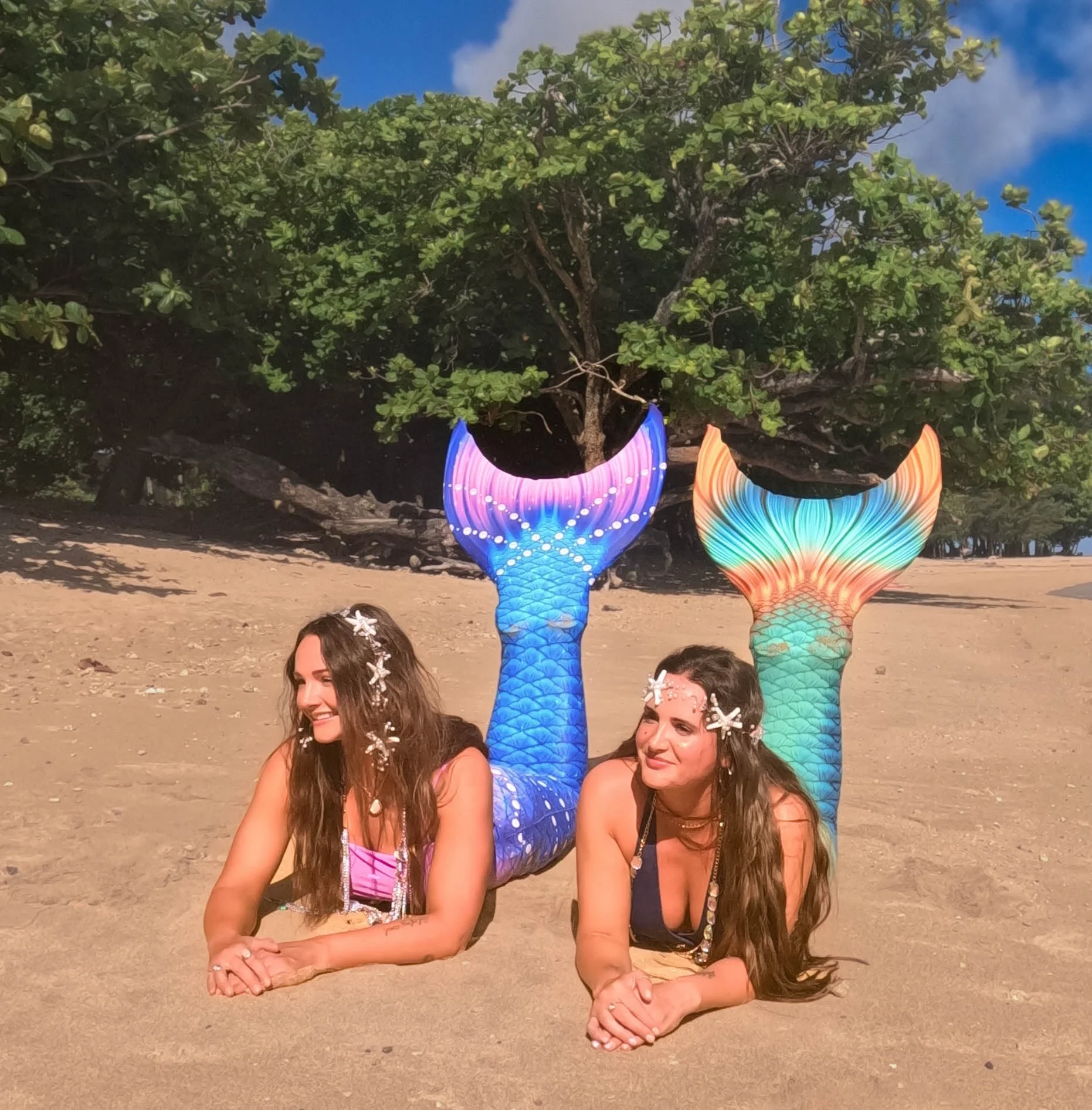 📸 Which photo do you like better? They both are similar, yet have a different filter in the sky, if you look in the background. I would love to know what you think, as I always enjoy hearing others options. 🤔 

Recently, sisters - seastars have bee
