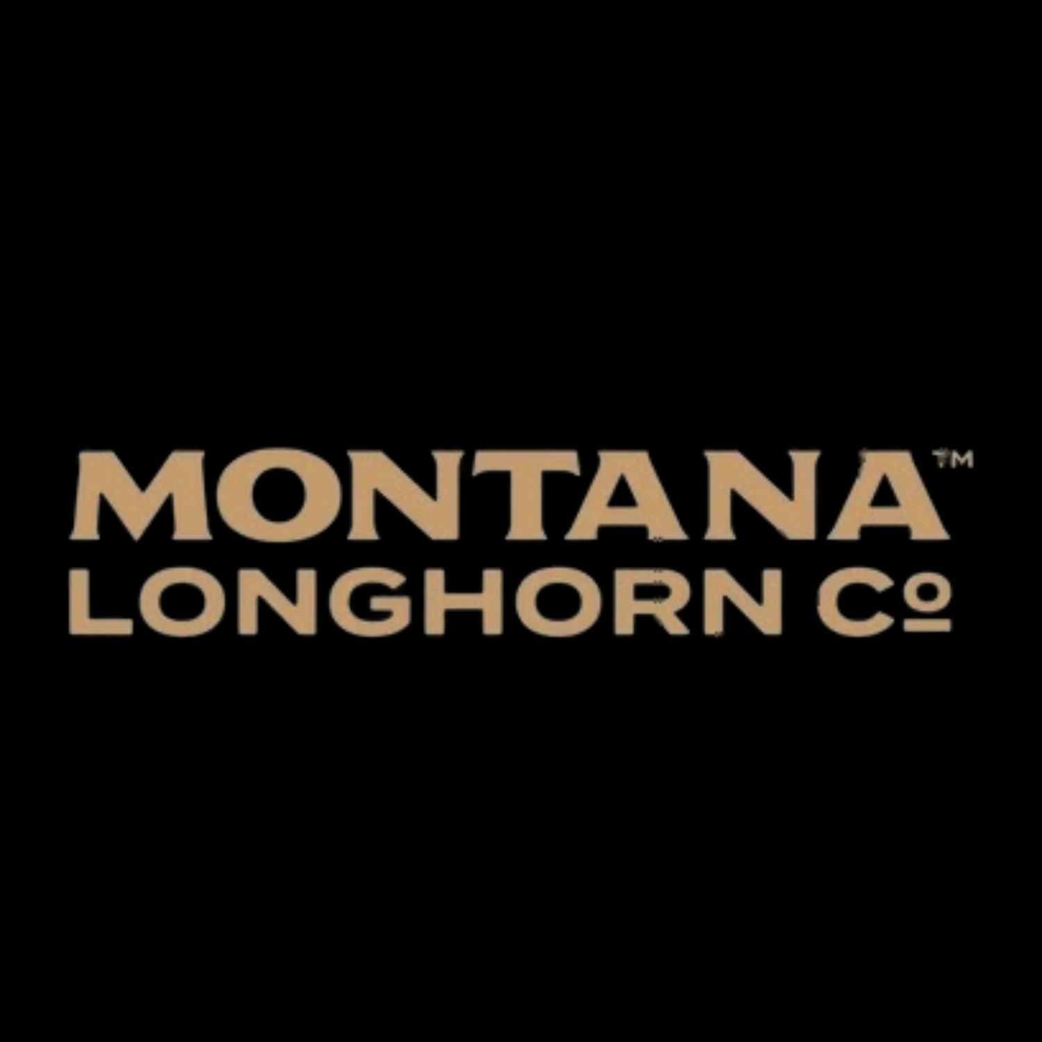Montana Longhorn.png