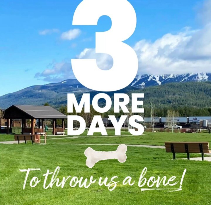 Your generosity has us overwhelmed 🥹🥹🥹 Your generous donations have helped us get to our goal. Whether you give to us or any of the other 80+ incredible non profits this community thanks you. Just incredible 💓💓💓