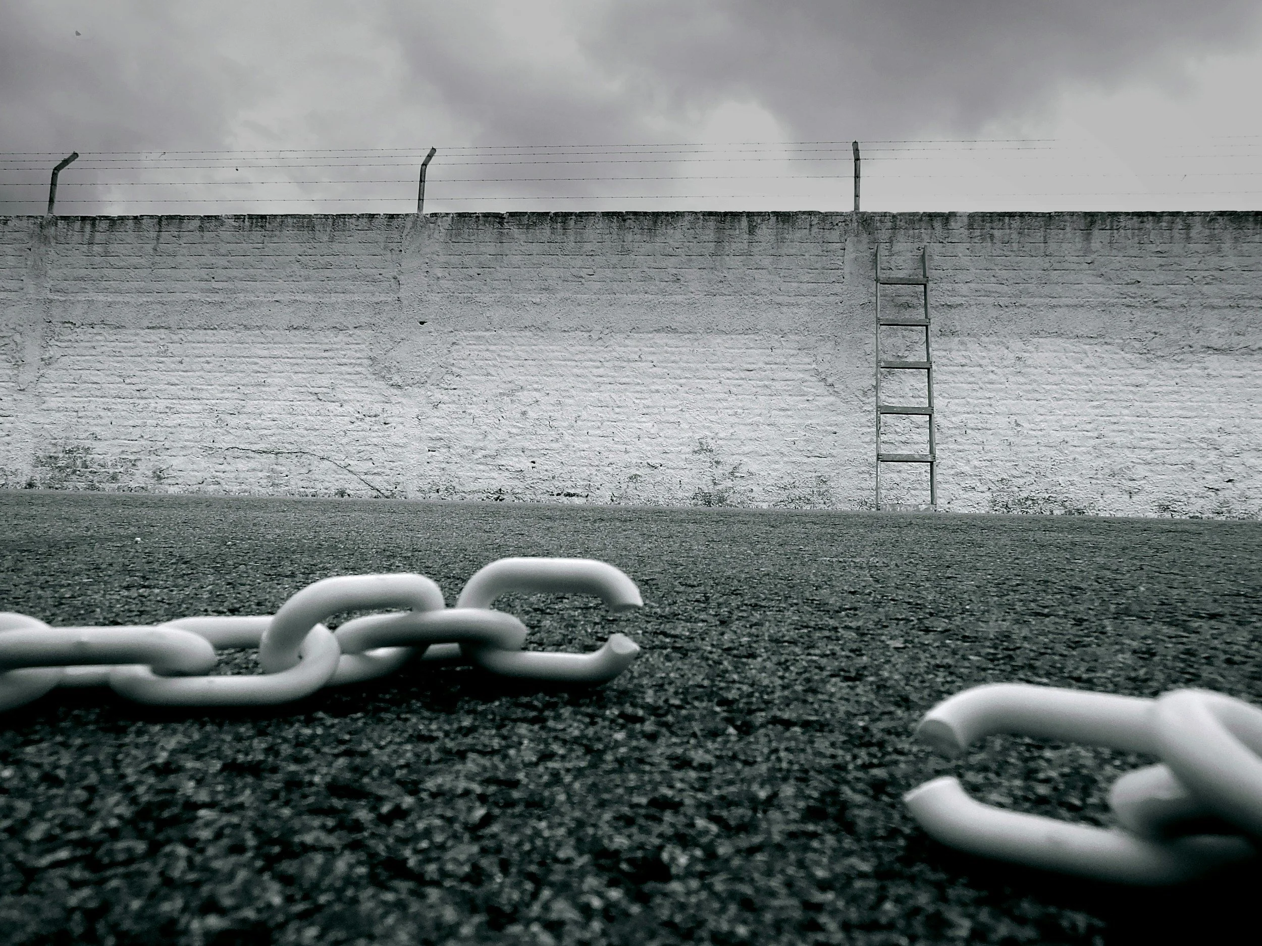 Magic 101: Force and Free Will