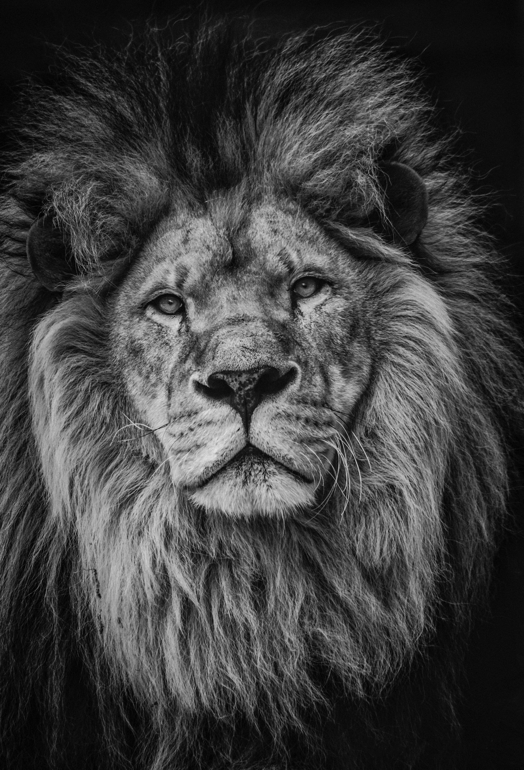 Magic 501: Confidence
