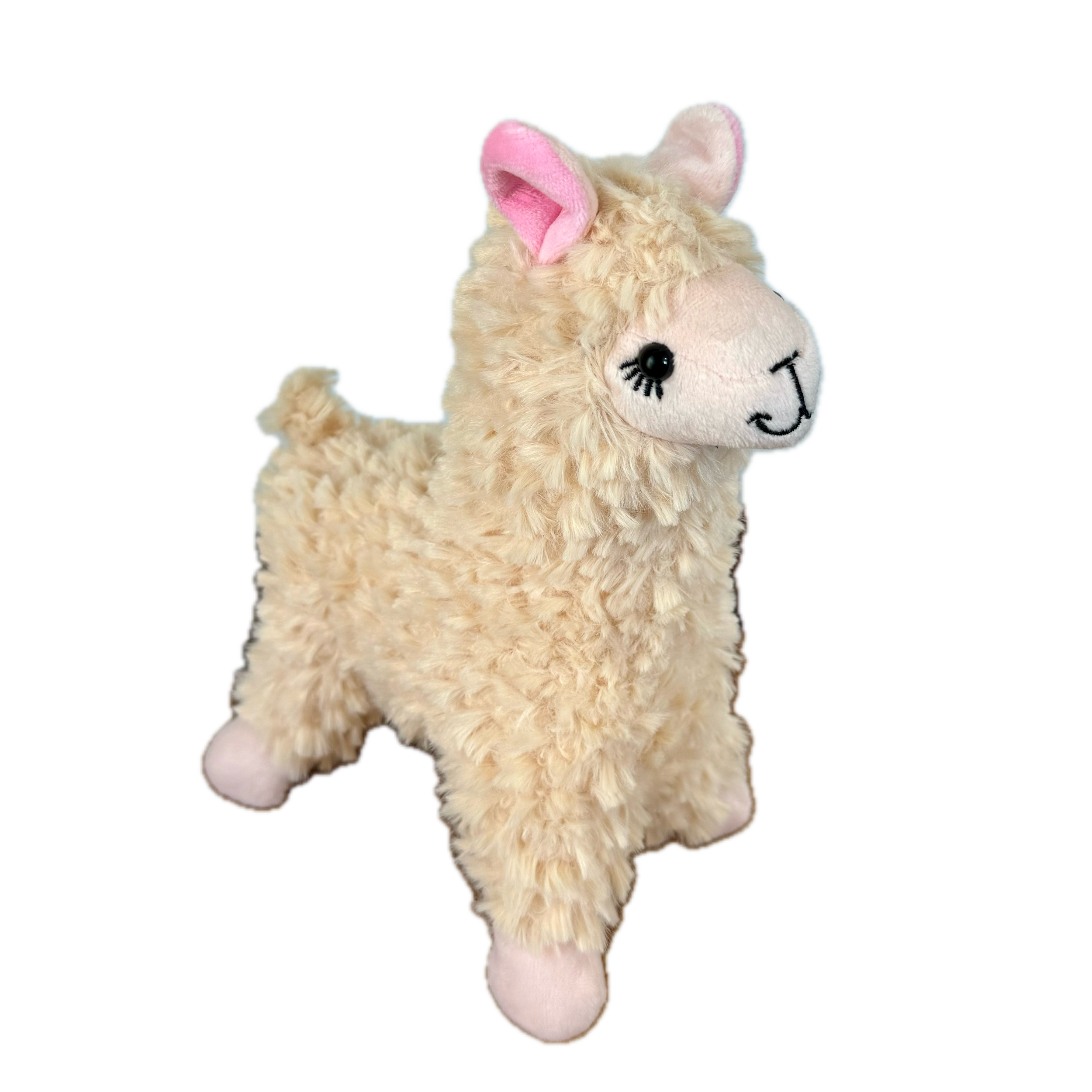 IMG_1208 Background Removed.png