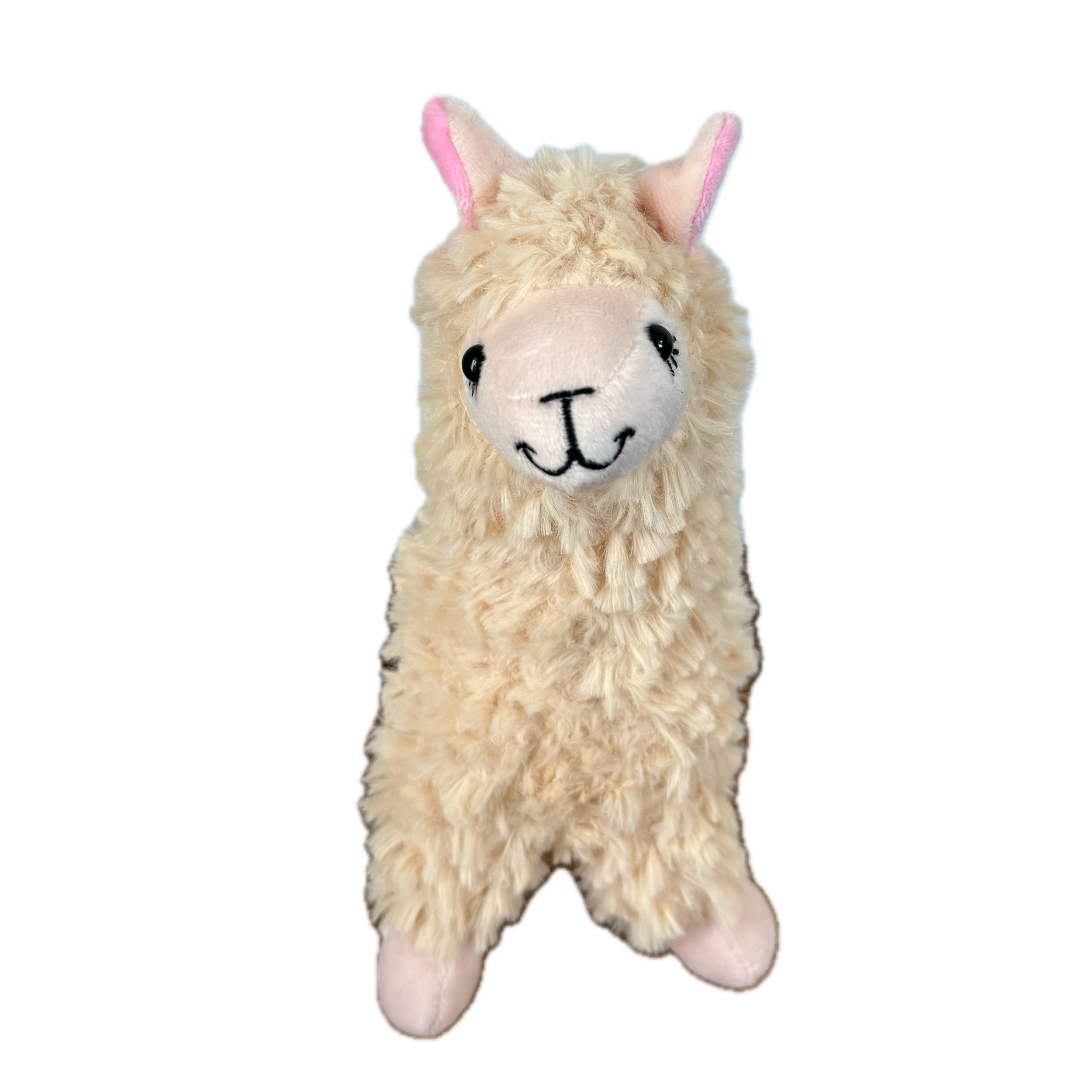 IMG_1209 Background Removed.png