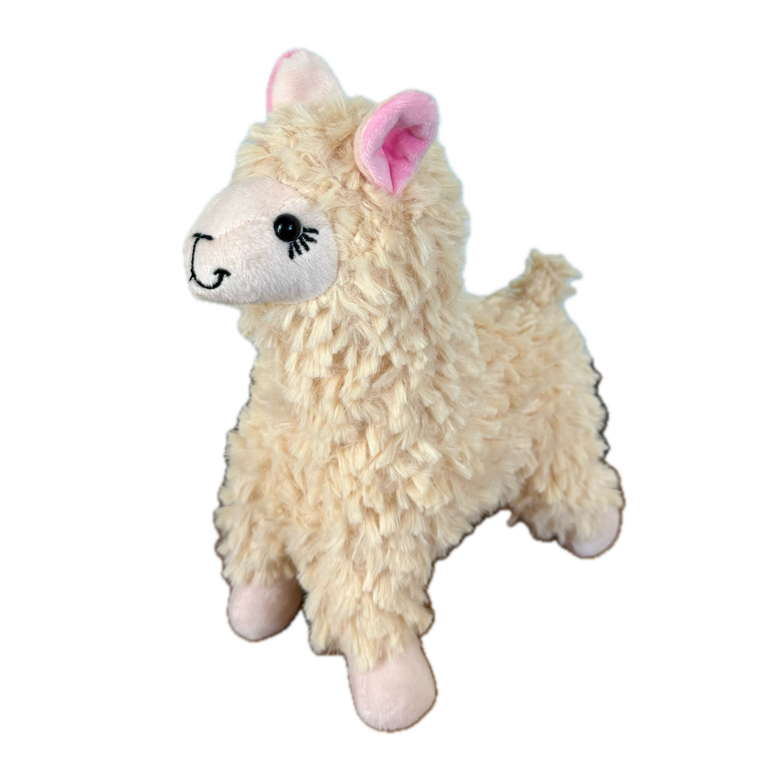 IMG_1210 Background Removed.png