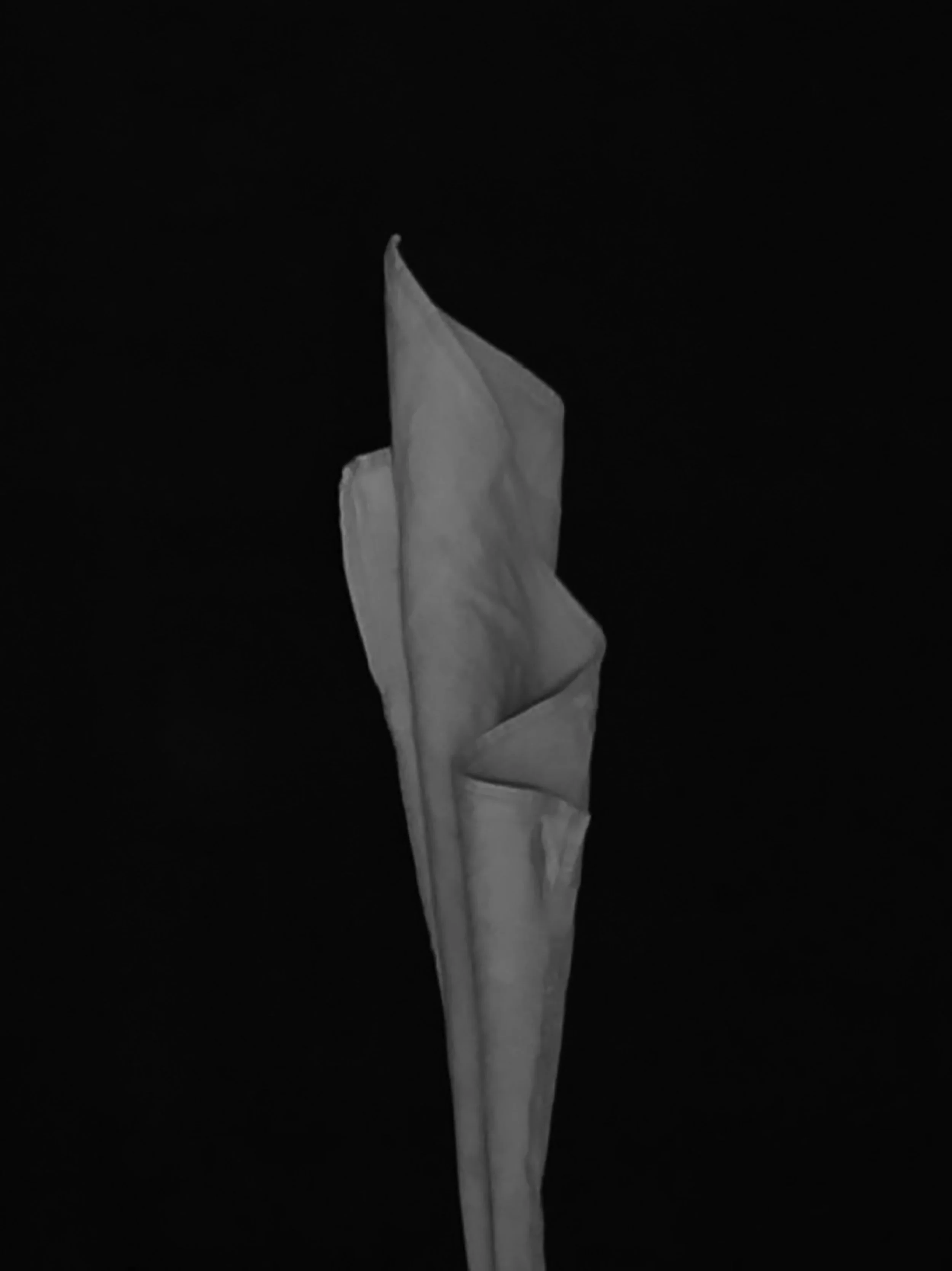 C0078.MP4_snapshot_00.22.440 1.jpg