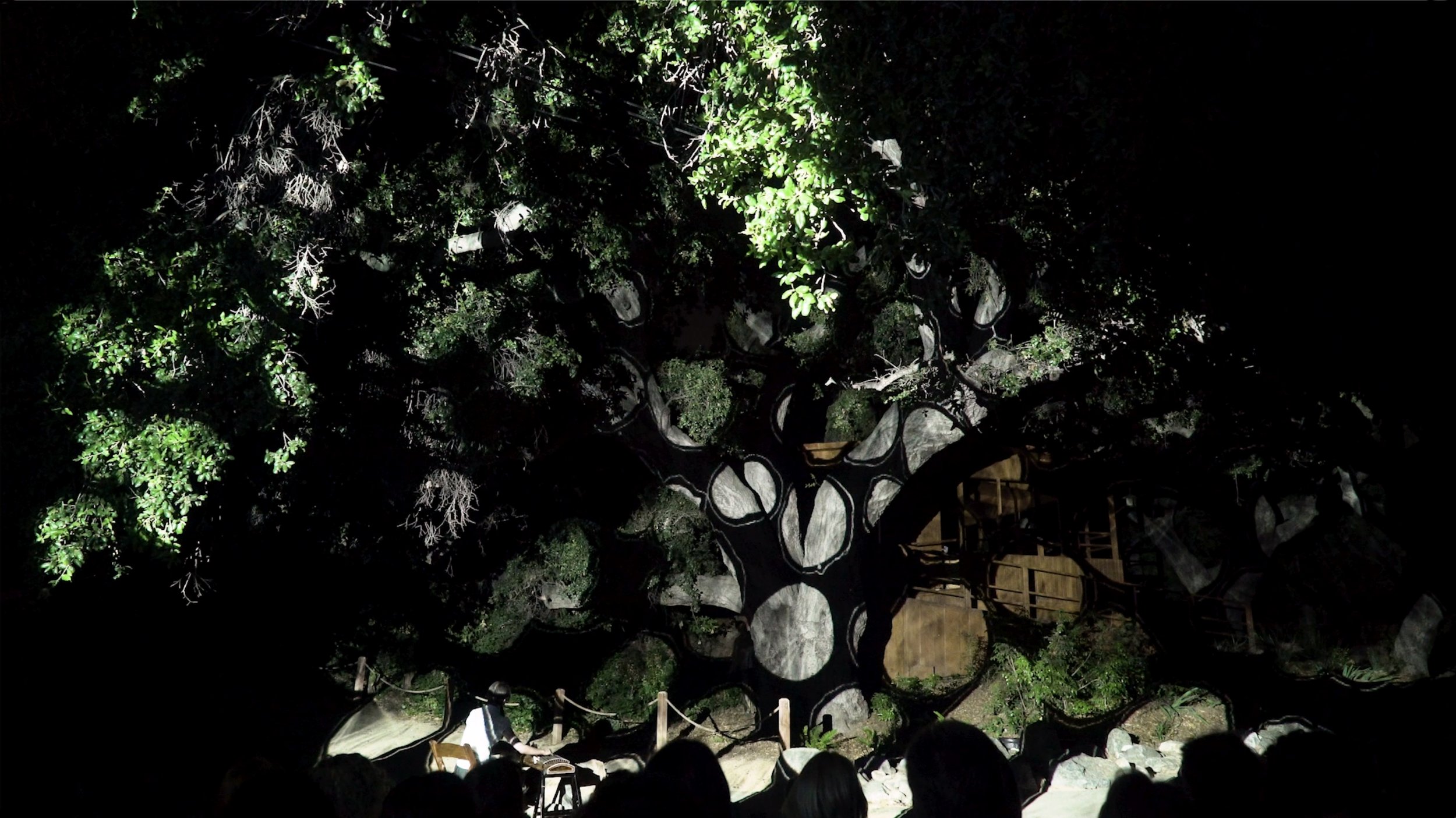 06_CaroleKim_ASeedWillSearch_drawingProjection_Descanso.jpg