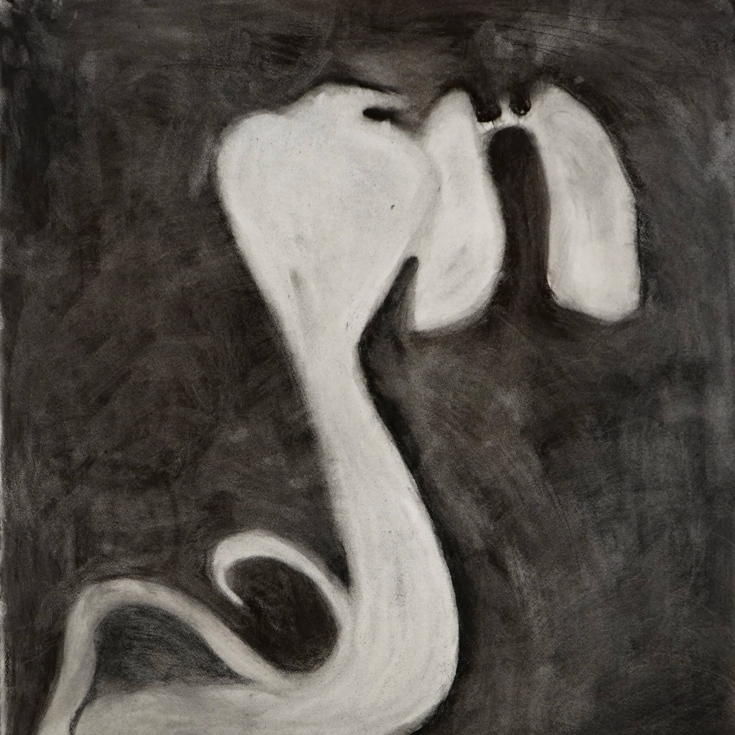 Malak Manzour | Chapter 2 Winter 2026