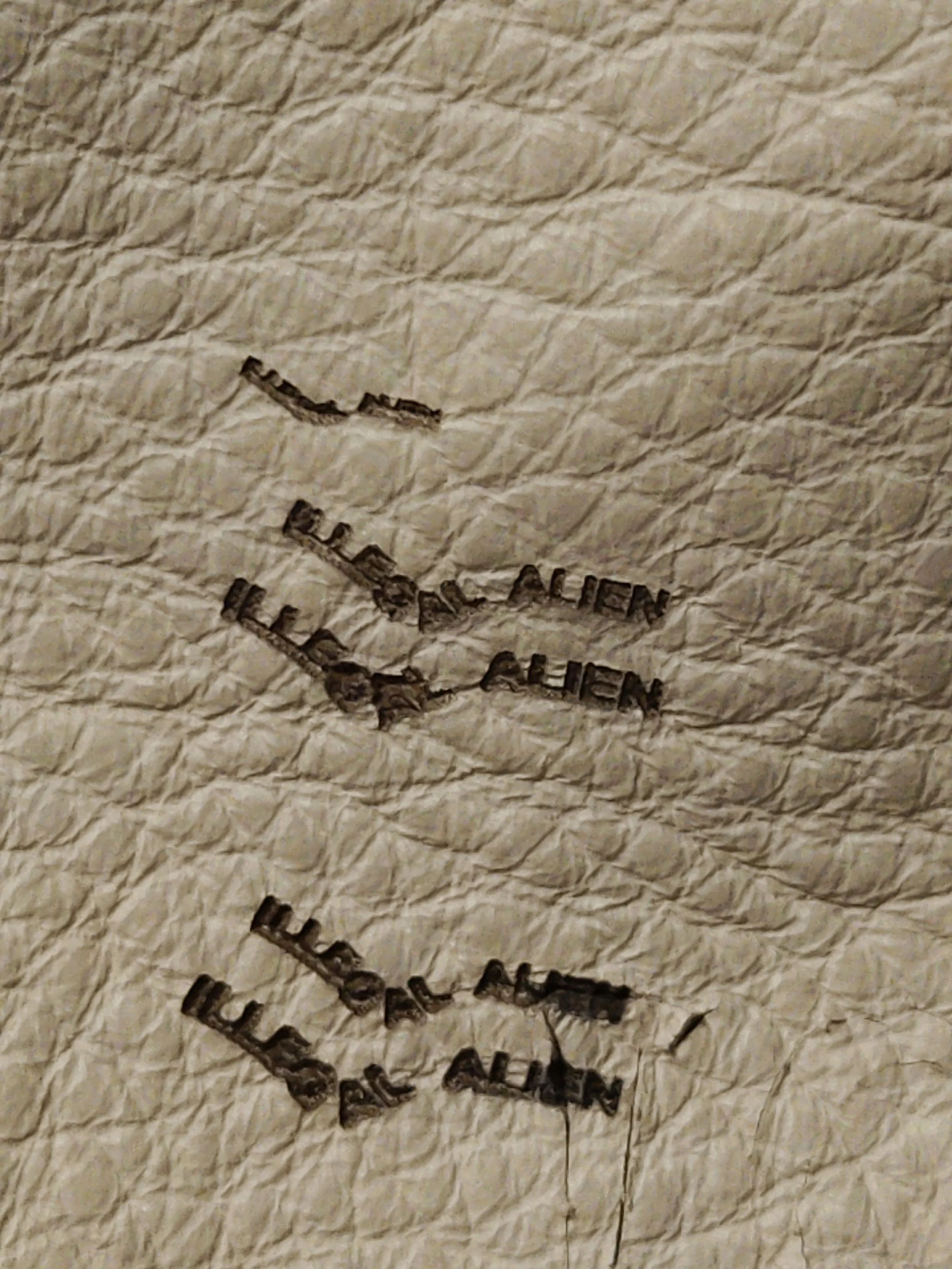 Skins-Laser-Etch-.jpeg