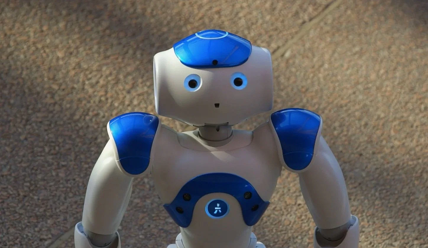 Being a Robot