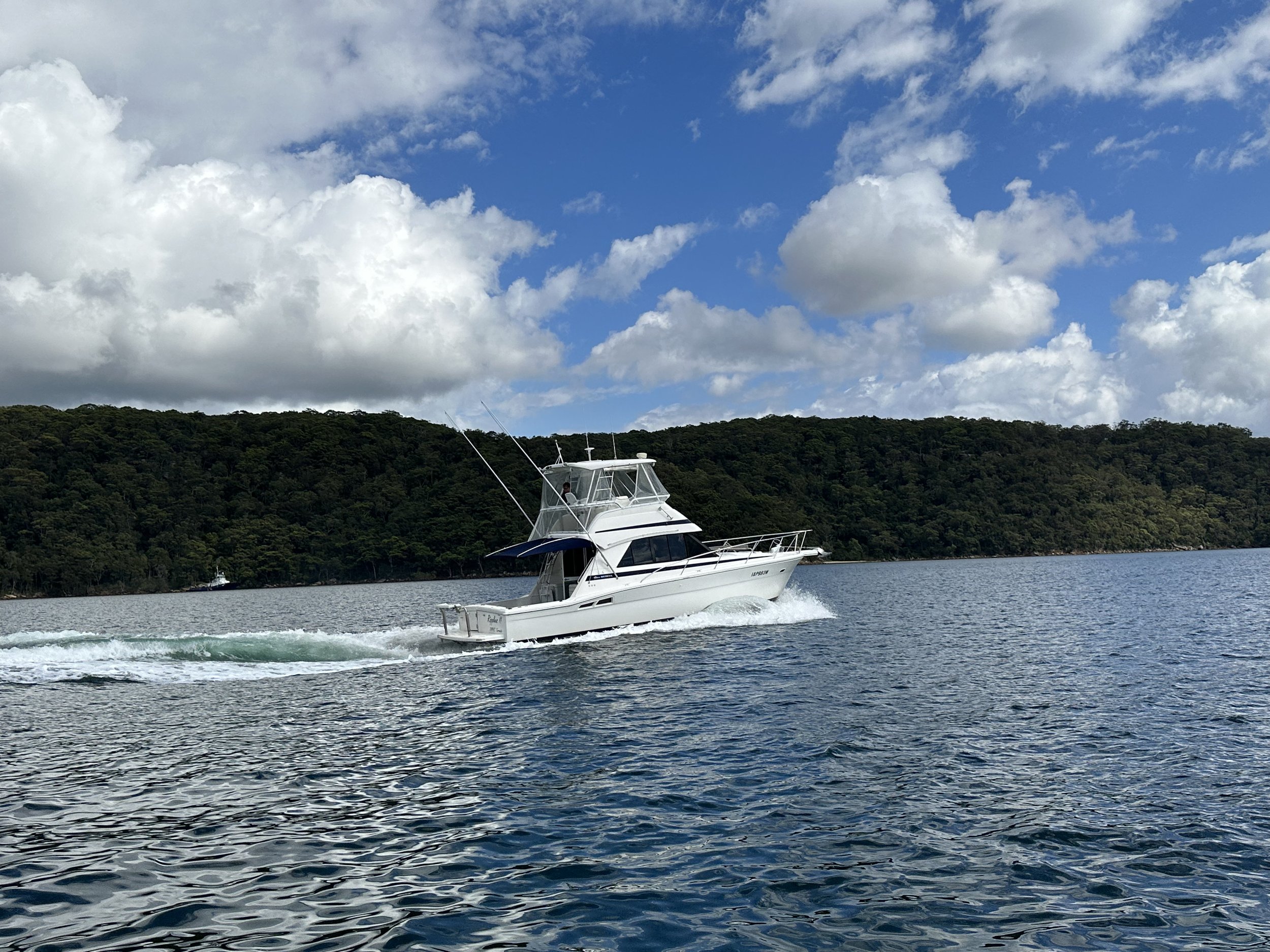 Riviera for sale