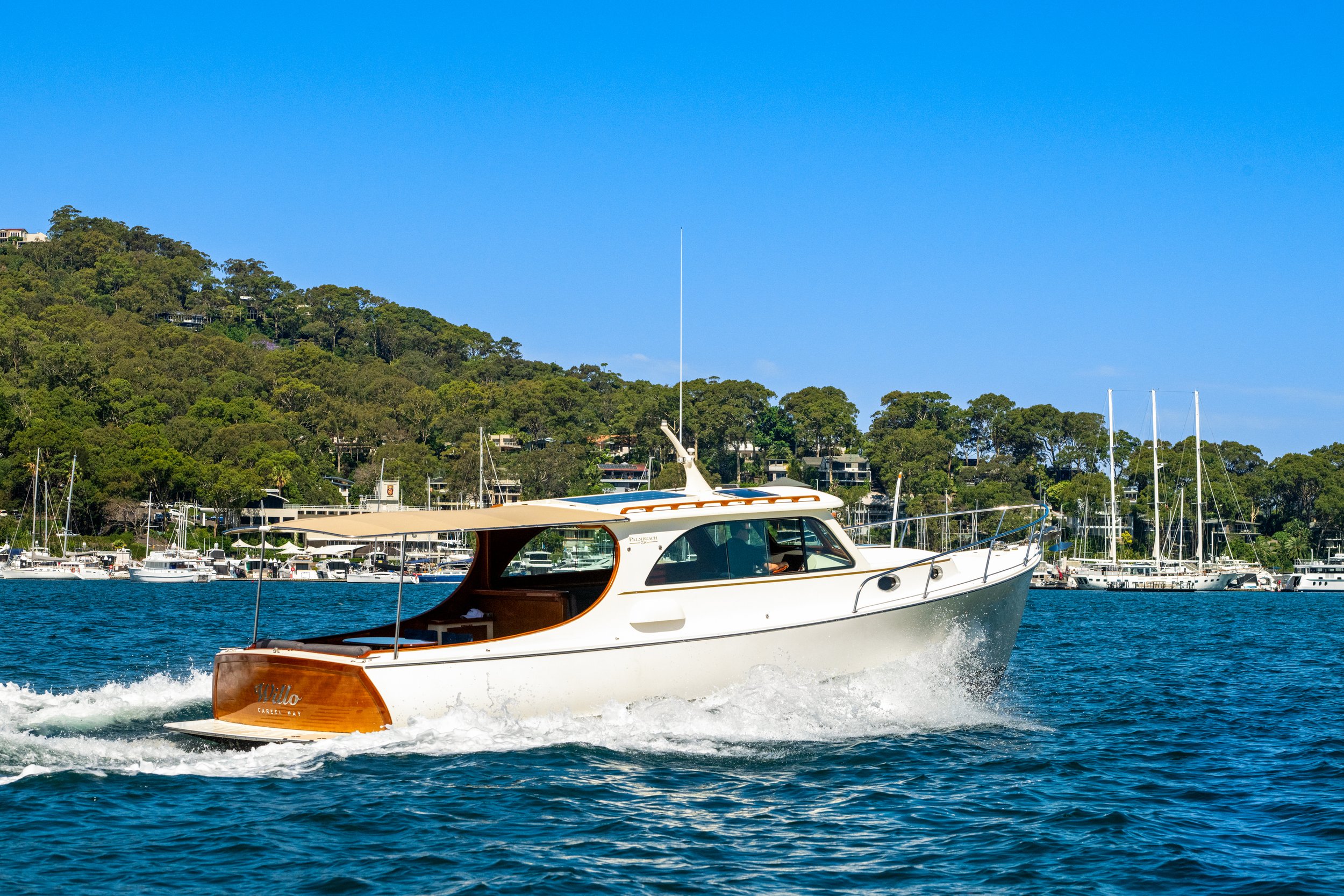 boat_willow_069.jpg