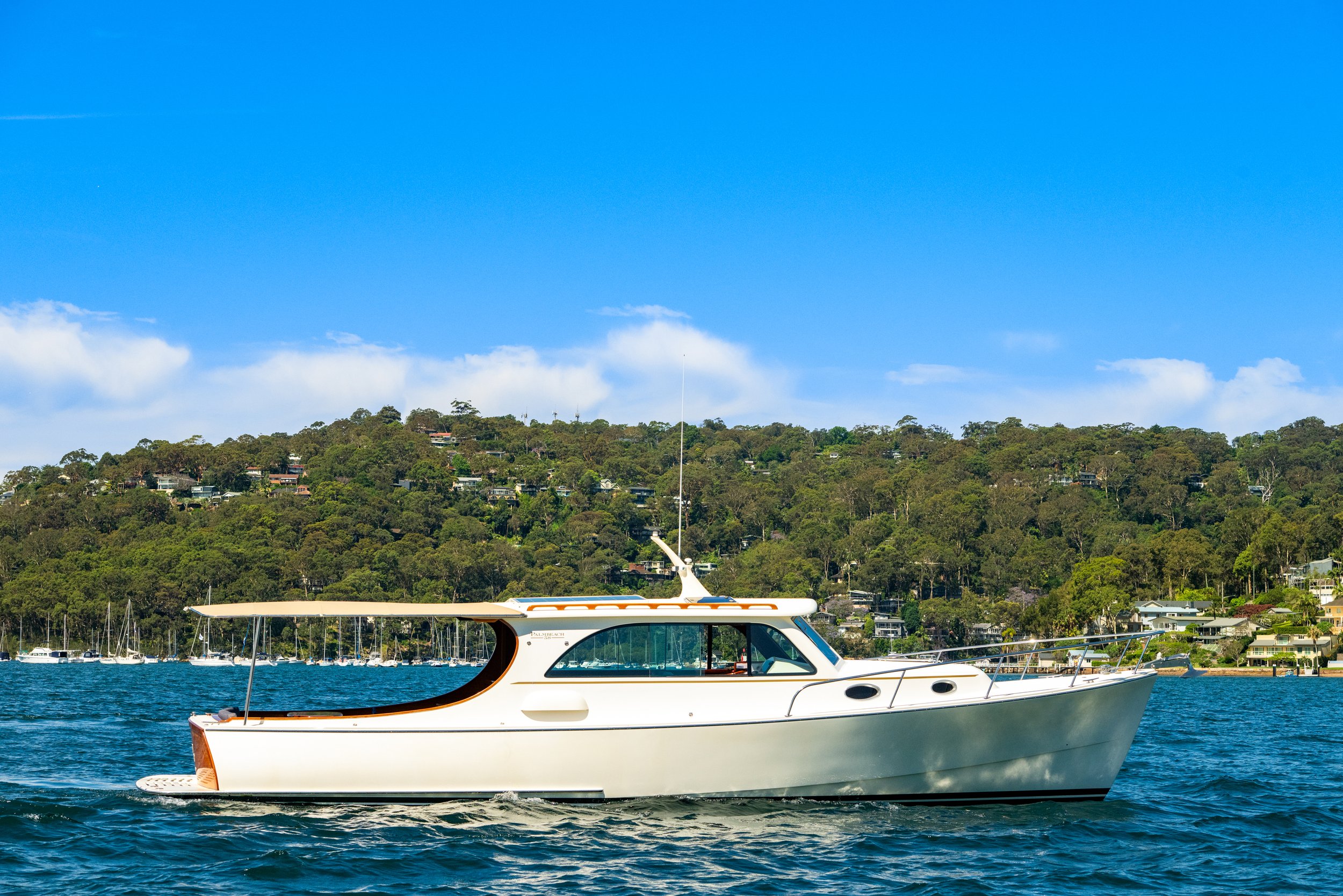 boat_willow_062.jpg