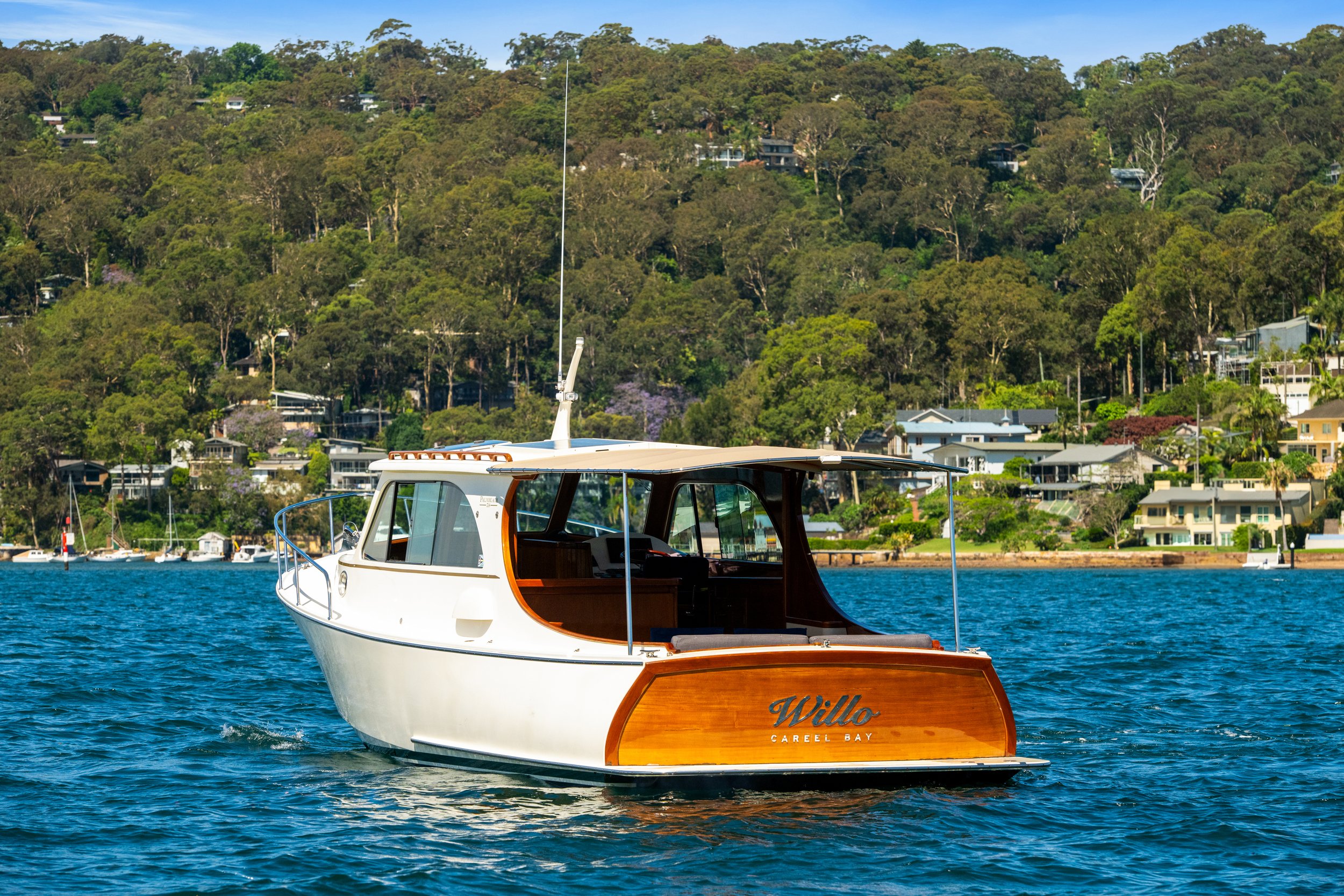 boat_willow_056.jpg