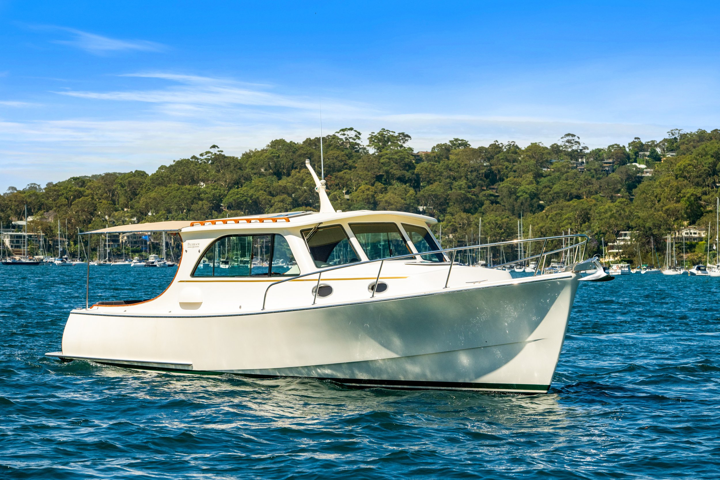boat_willow_059.jpg