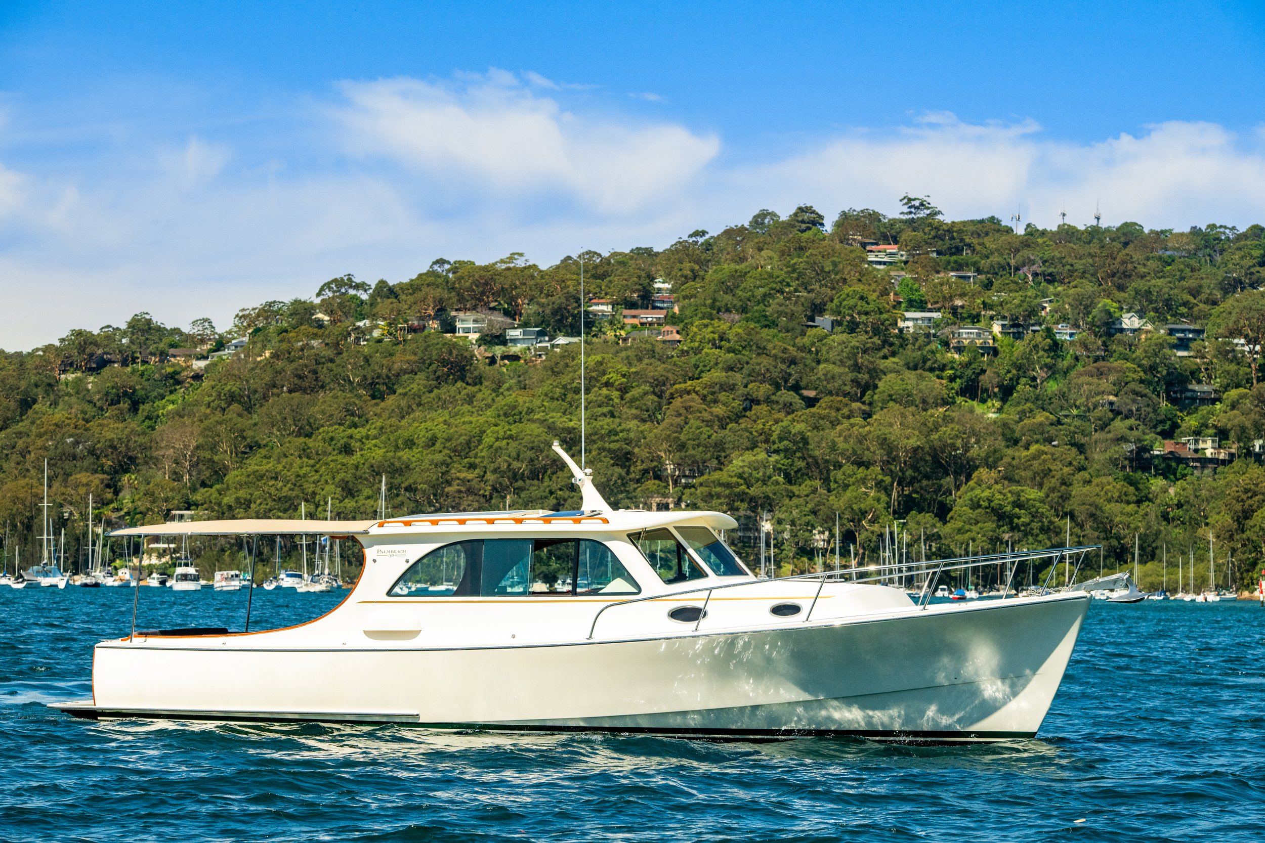 boat_willow_061.jpg