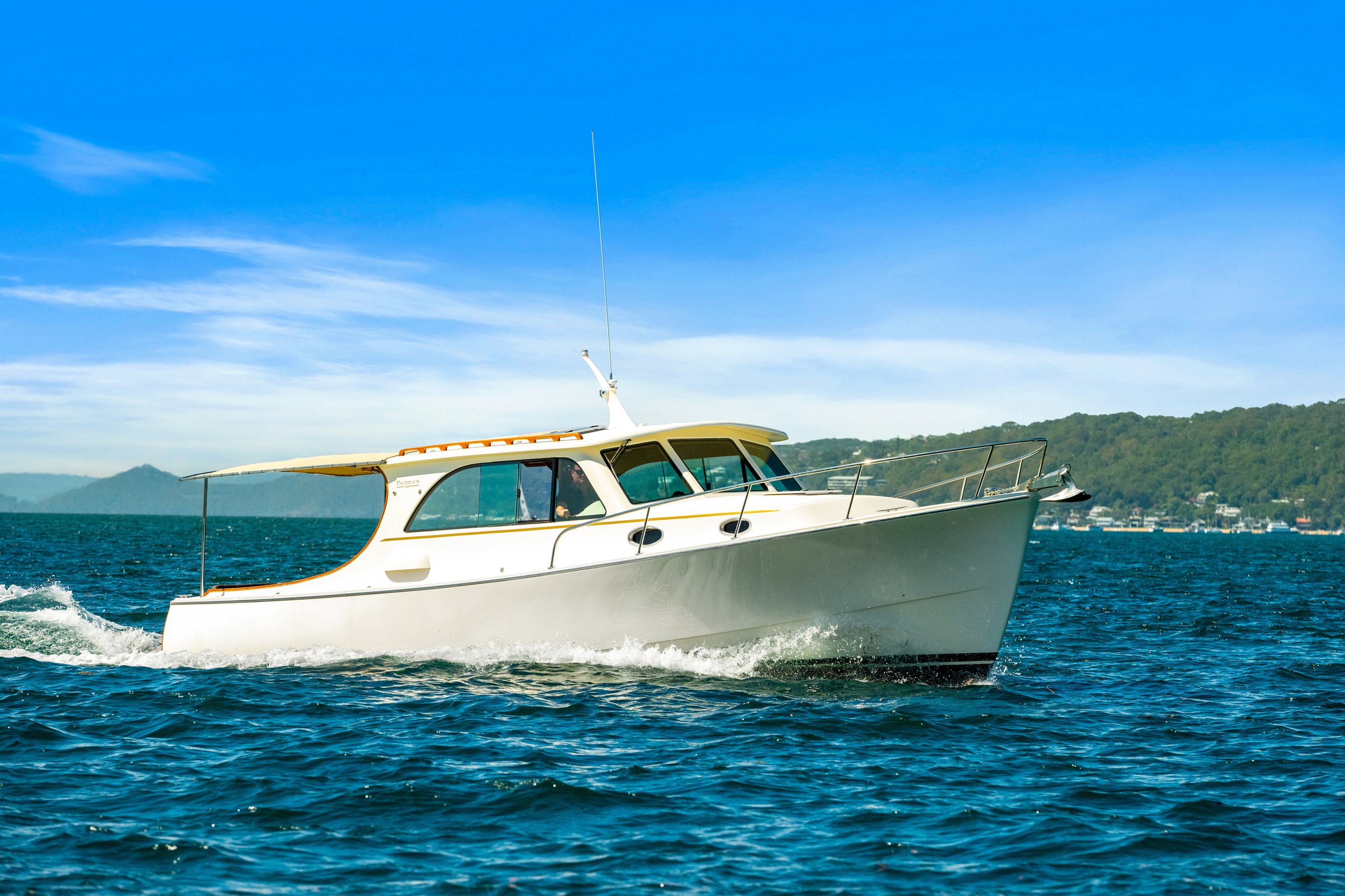 boat_willow_064.jpg
