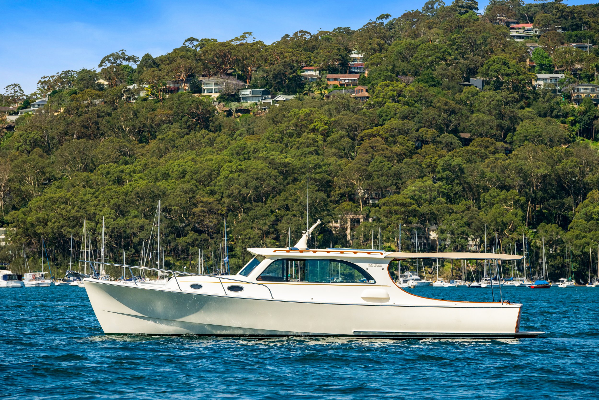 boat_willow_058.jpg