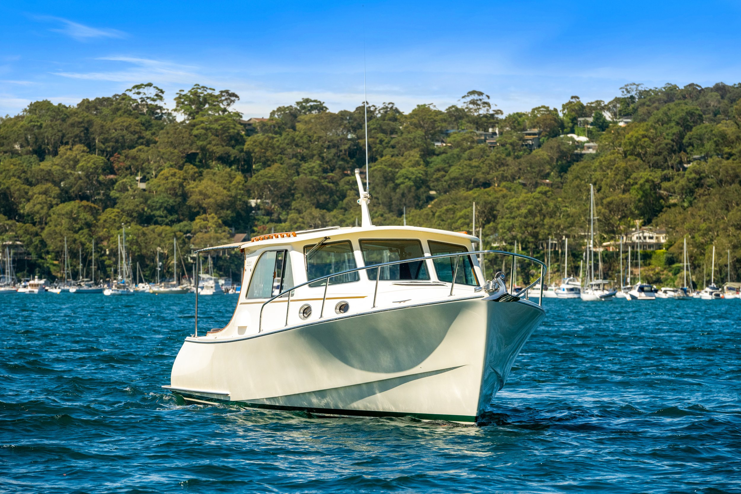 boat_willow_060.jpg