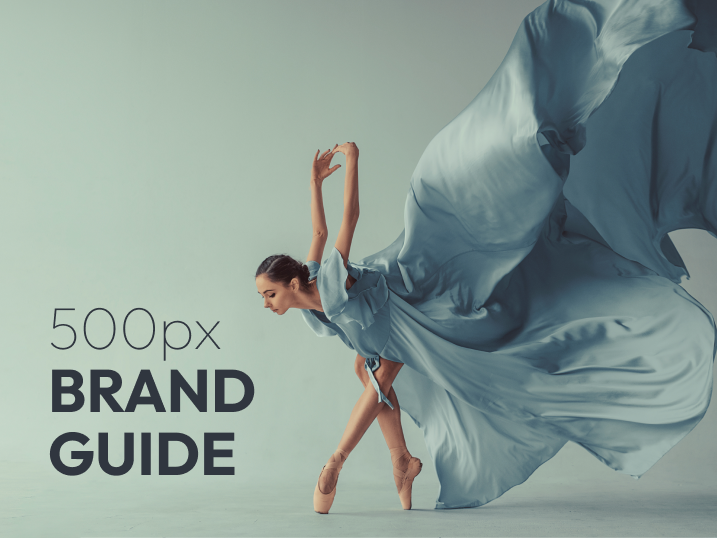500px - Brand Guide