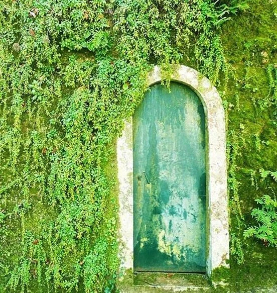 An arched green door set into a moss-covered stone wall surrounded by lush green foliage.