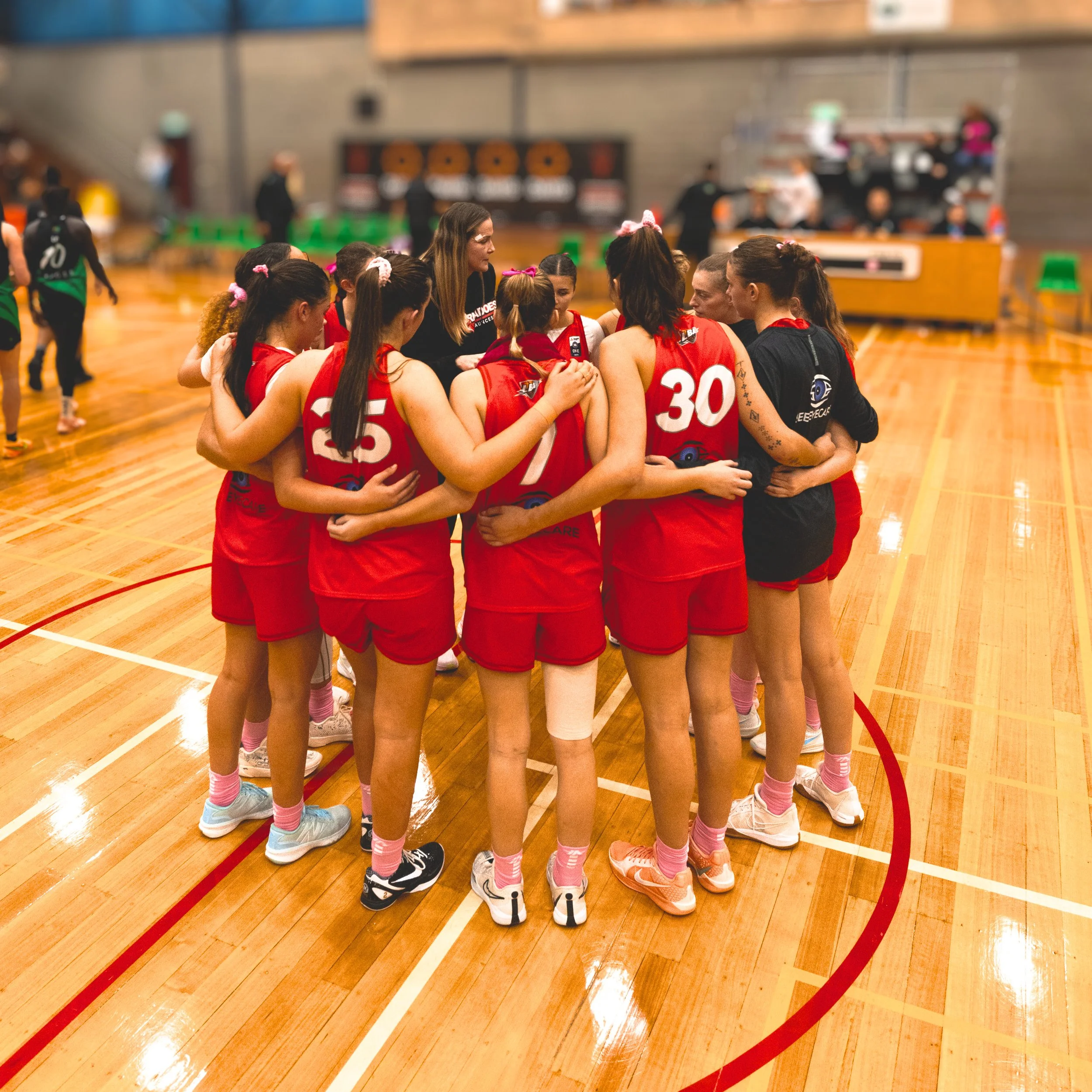 Next Steps for NBL1 Licence in Northern Tasmania