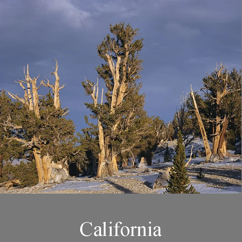 California - Fine Art Photography Prints