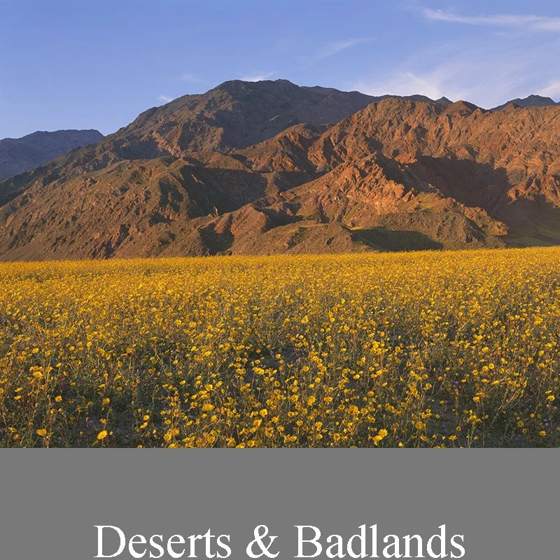Deserts, Badlands - Fine Art Photography Prints