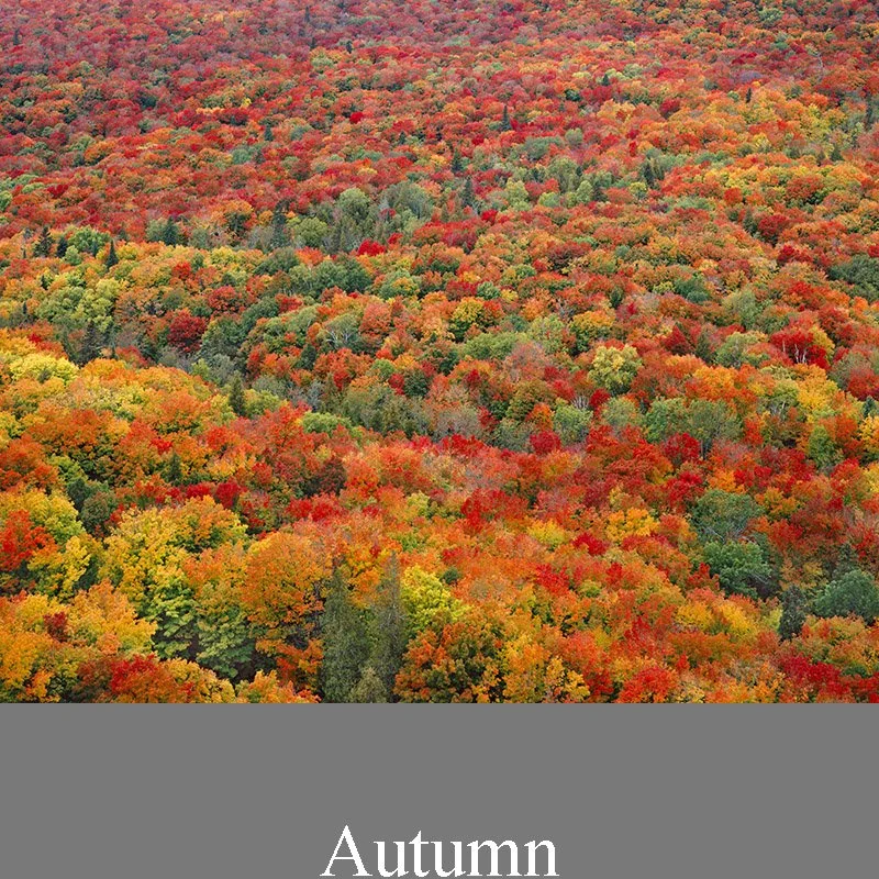 Autumn - Fine Art Photography Prints