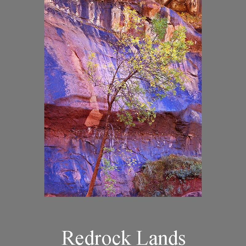 Redrock Canyons - Fine Art Photography Prints