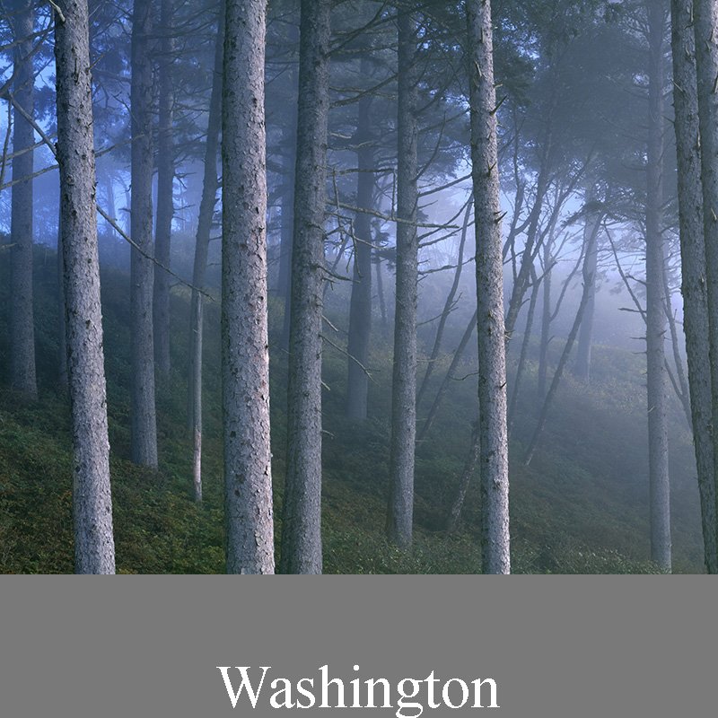 Washington - Fine Art Photography Prints