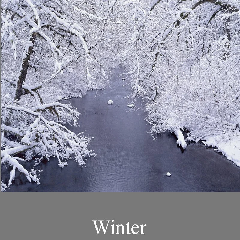 Winter - Fine Art Photography Prints
