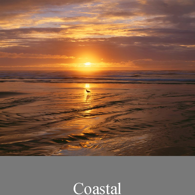 Coastal - Fine Art Photography Prints