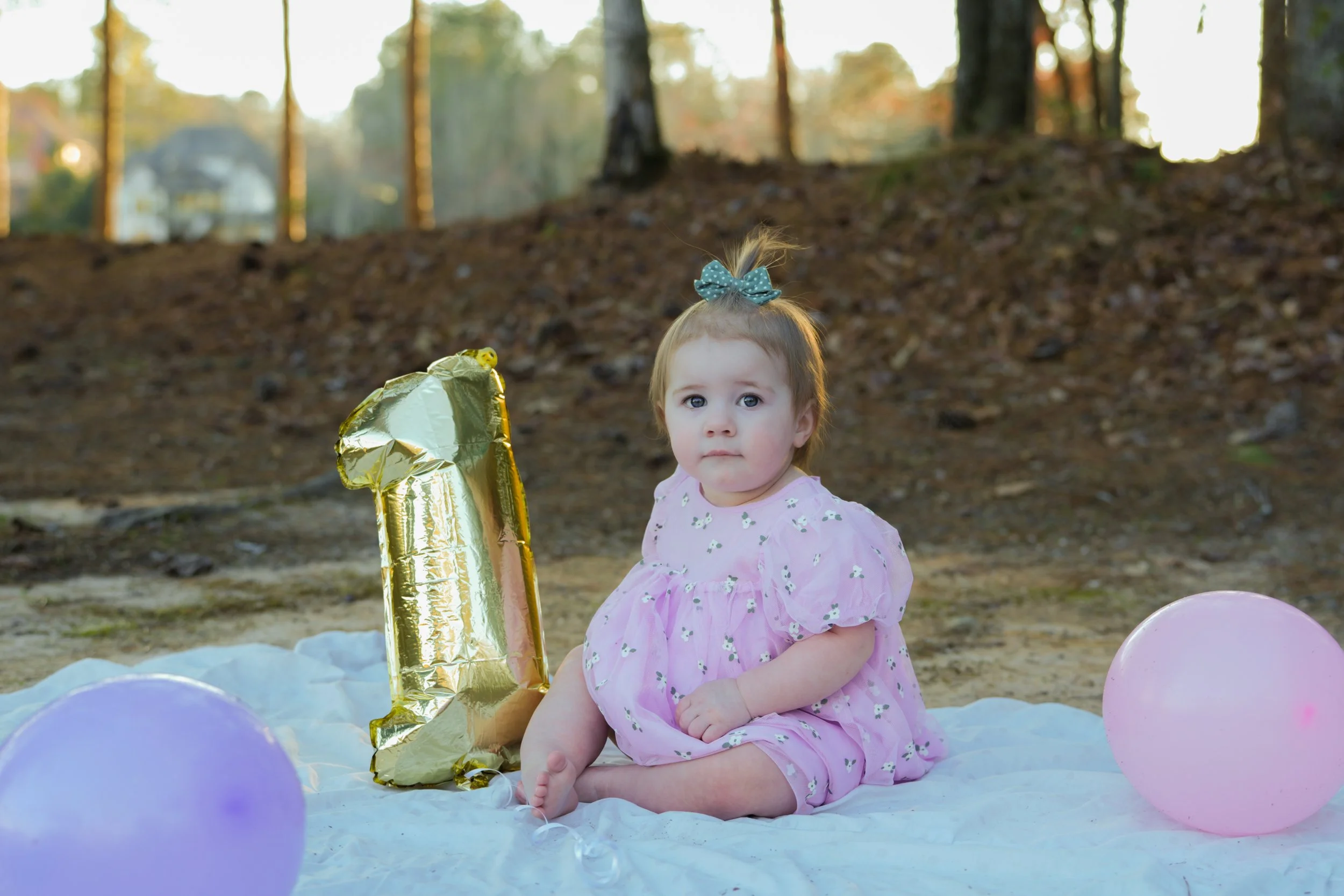 First Birthday Photo Session Outdoors