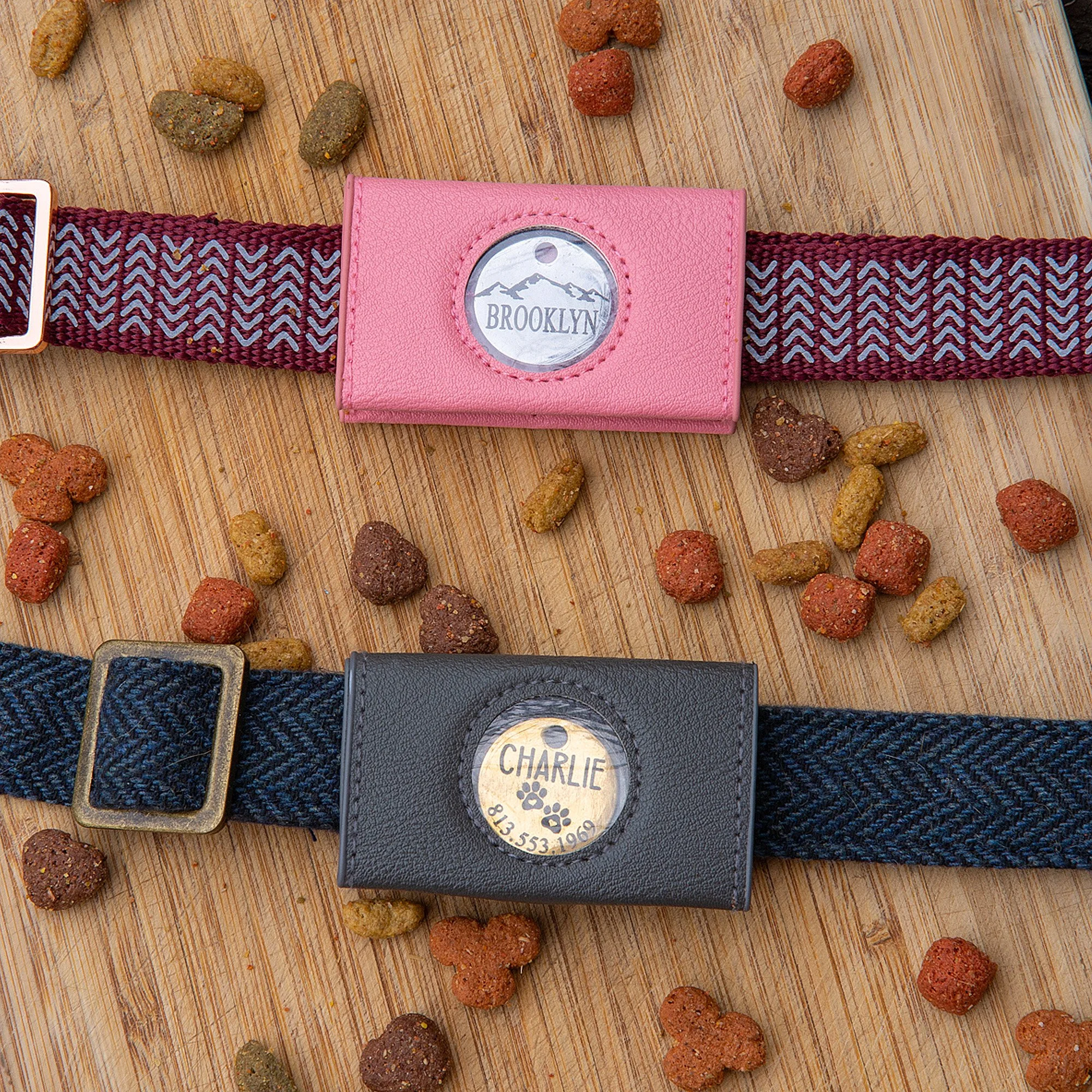 Professional product photo of dog collar for pet supply e-commerce listing