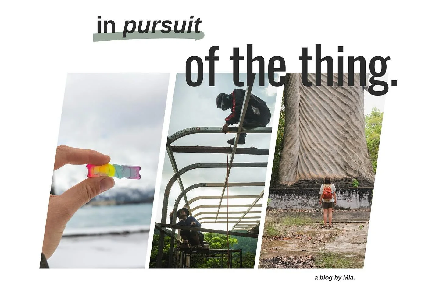 Friends on the page, I&rsquo;m so excited to announce the official publication of my first blog, In Pursuit of the Thing. This is a venture I have been thinking about for a long time, but it was these past few months where I&rsquo;ve found the inspir