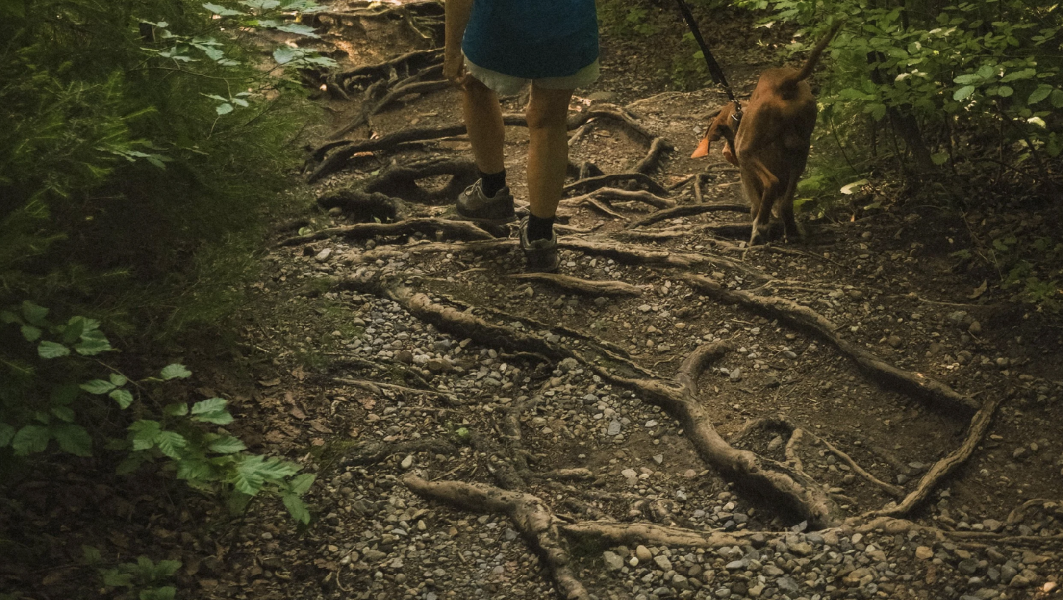 Sitting in the Garden