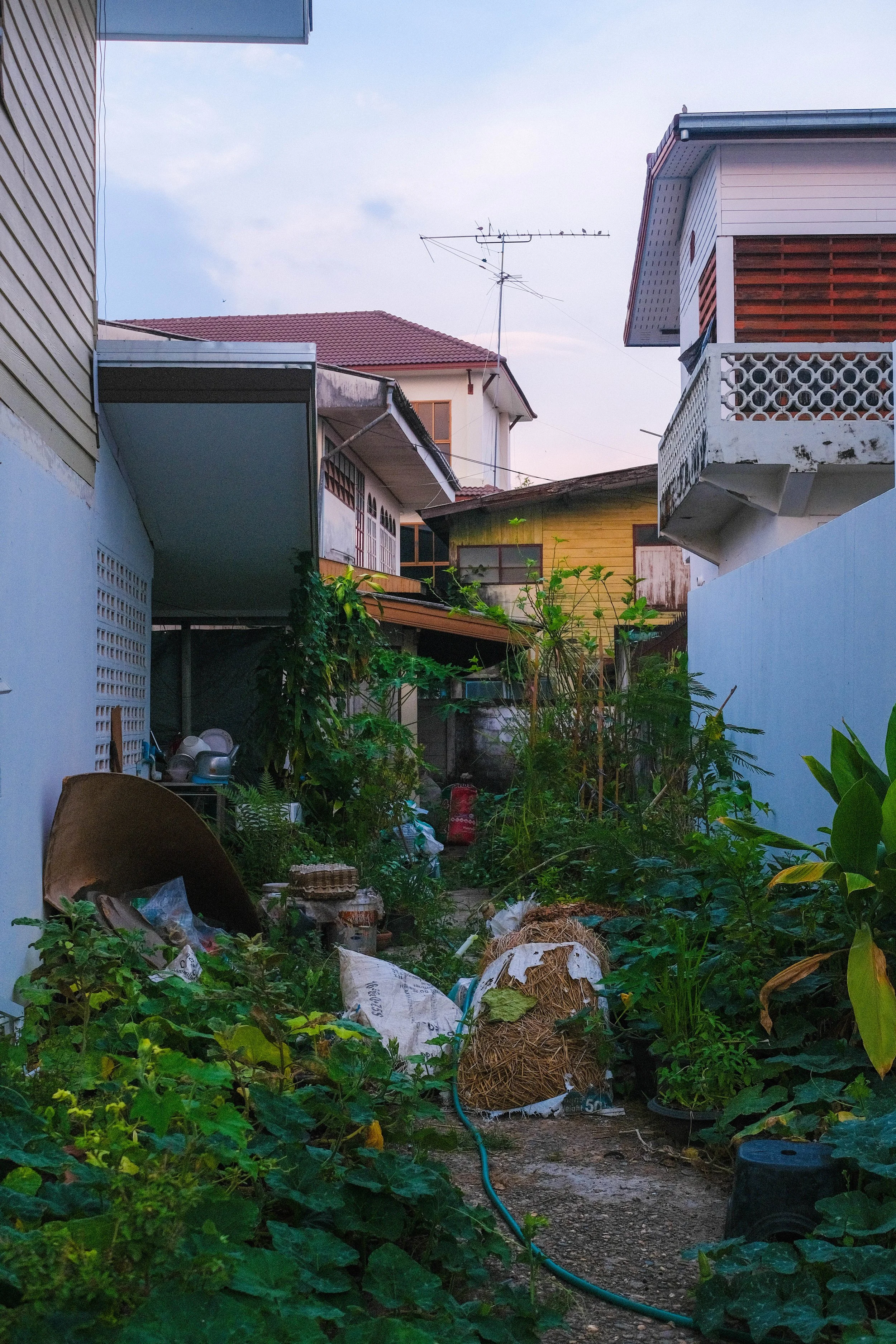 miamiller_4-29-5-2_nongkhai__21.JPG