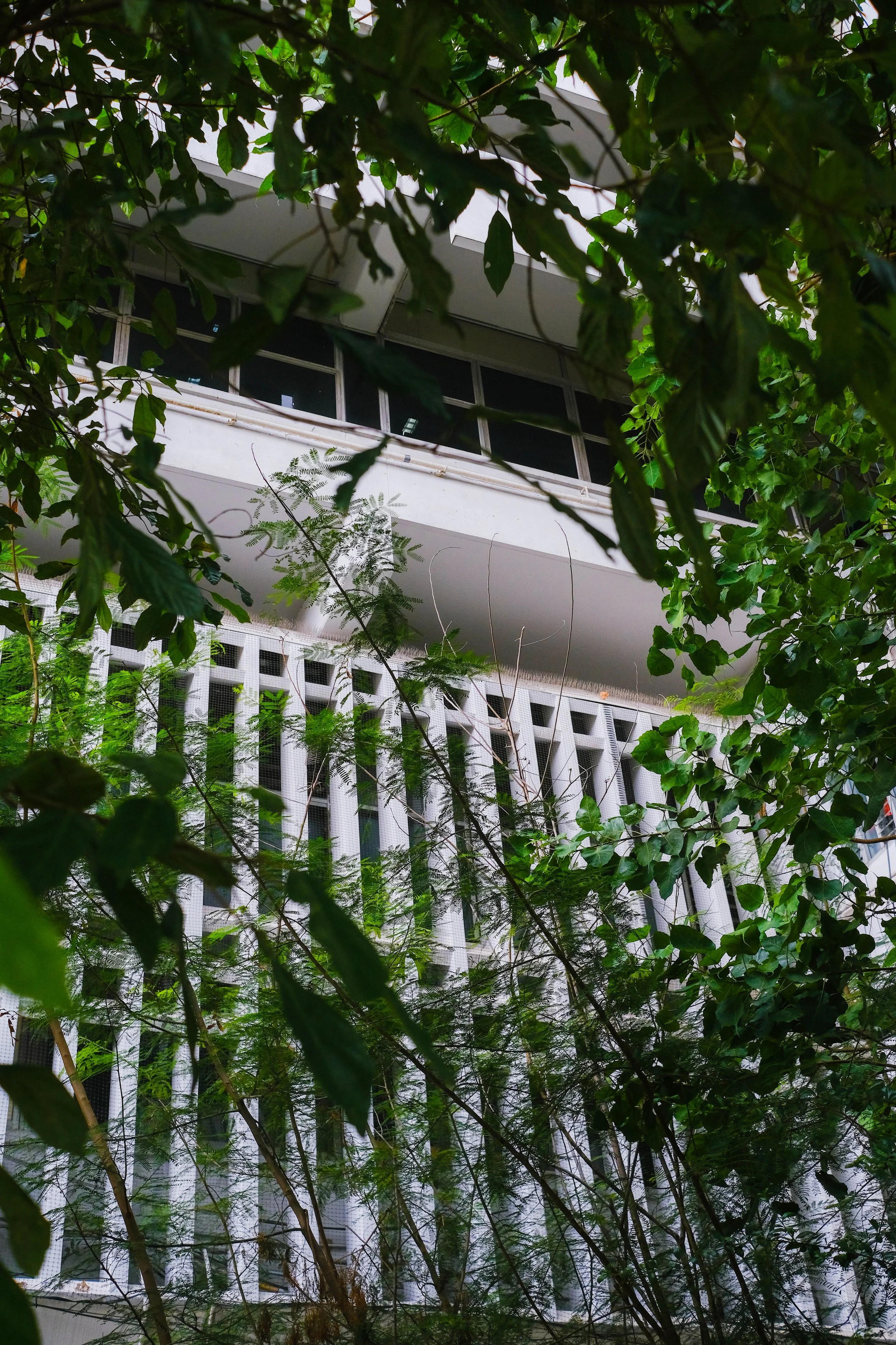 miamiller_4-15-20_bangkok__15.JPG
