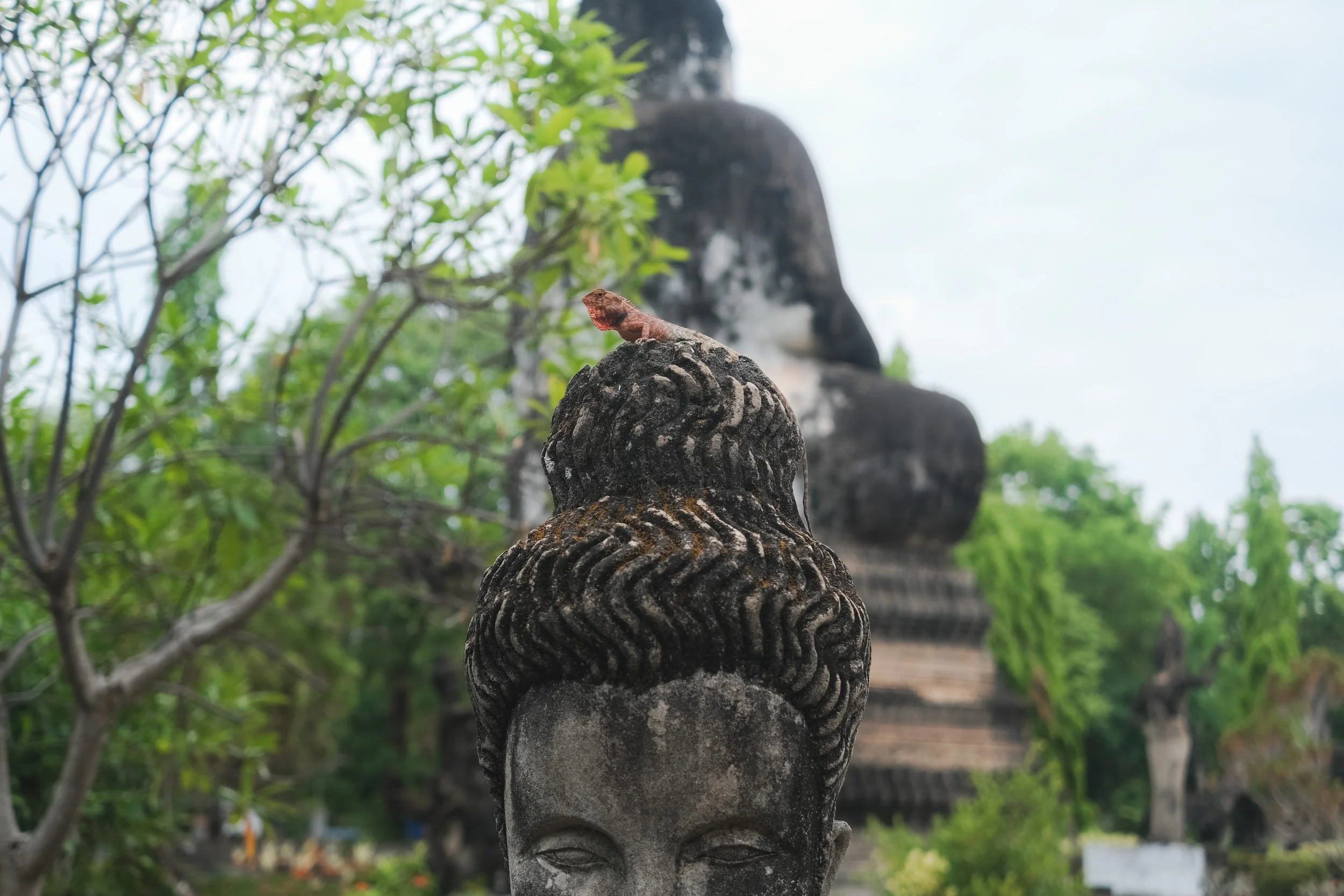 miamiller_4-27-29_nongkhai__1-2.JPG