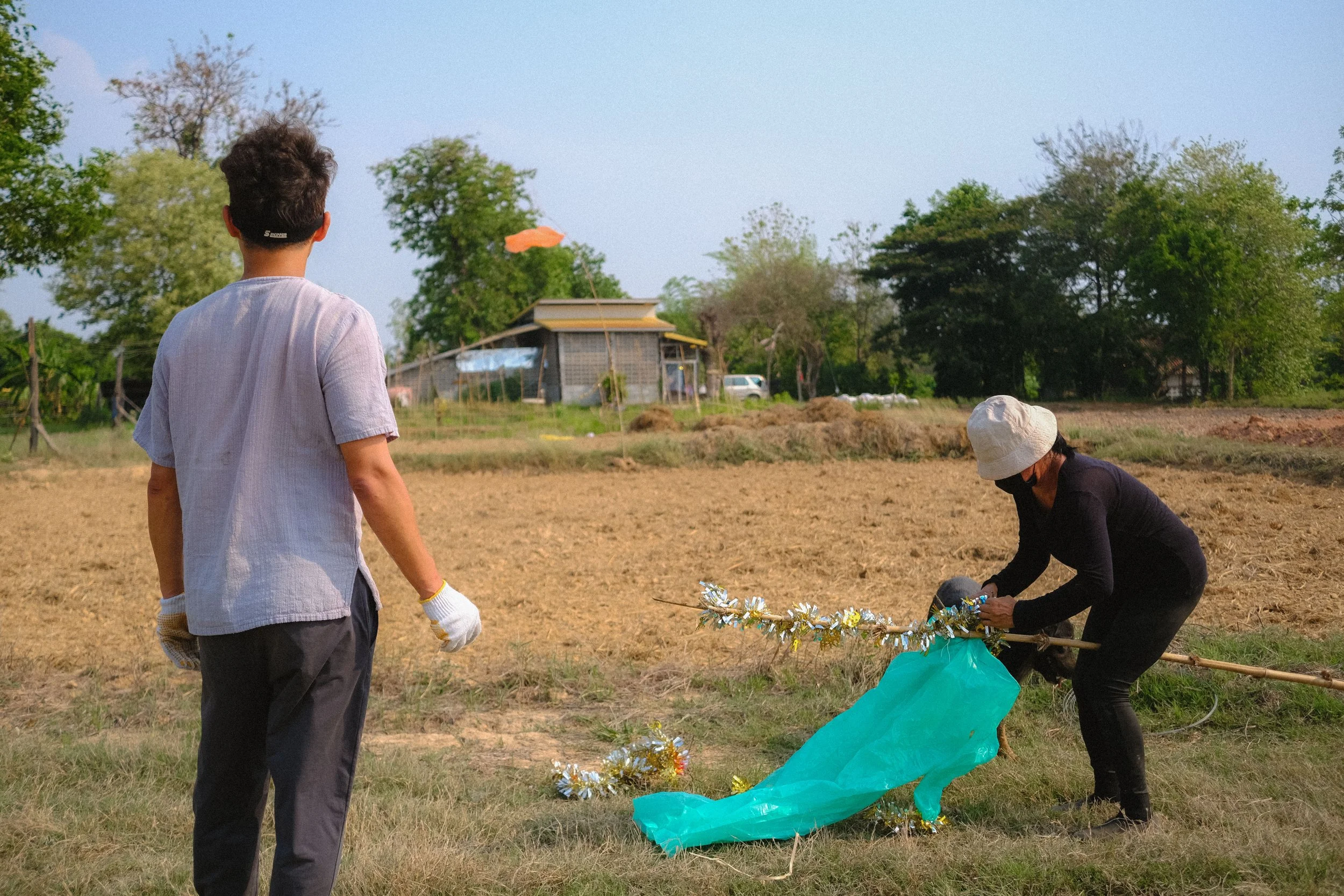 Season of the Rice (2025) Nong Khai, THA.