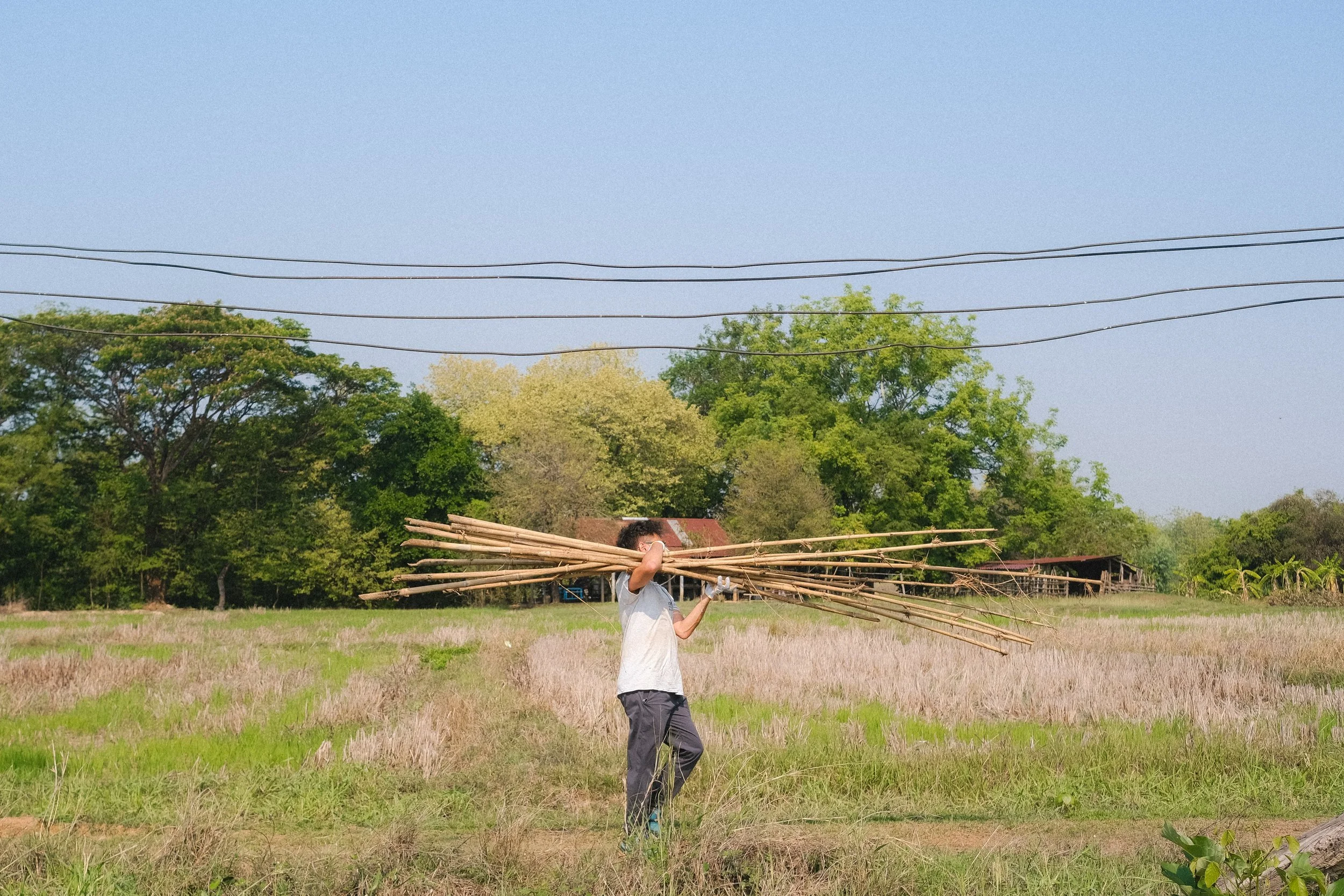 Season of the Rice (2025) Nong Khai, THA.